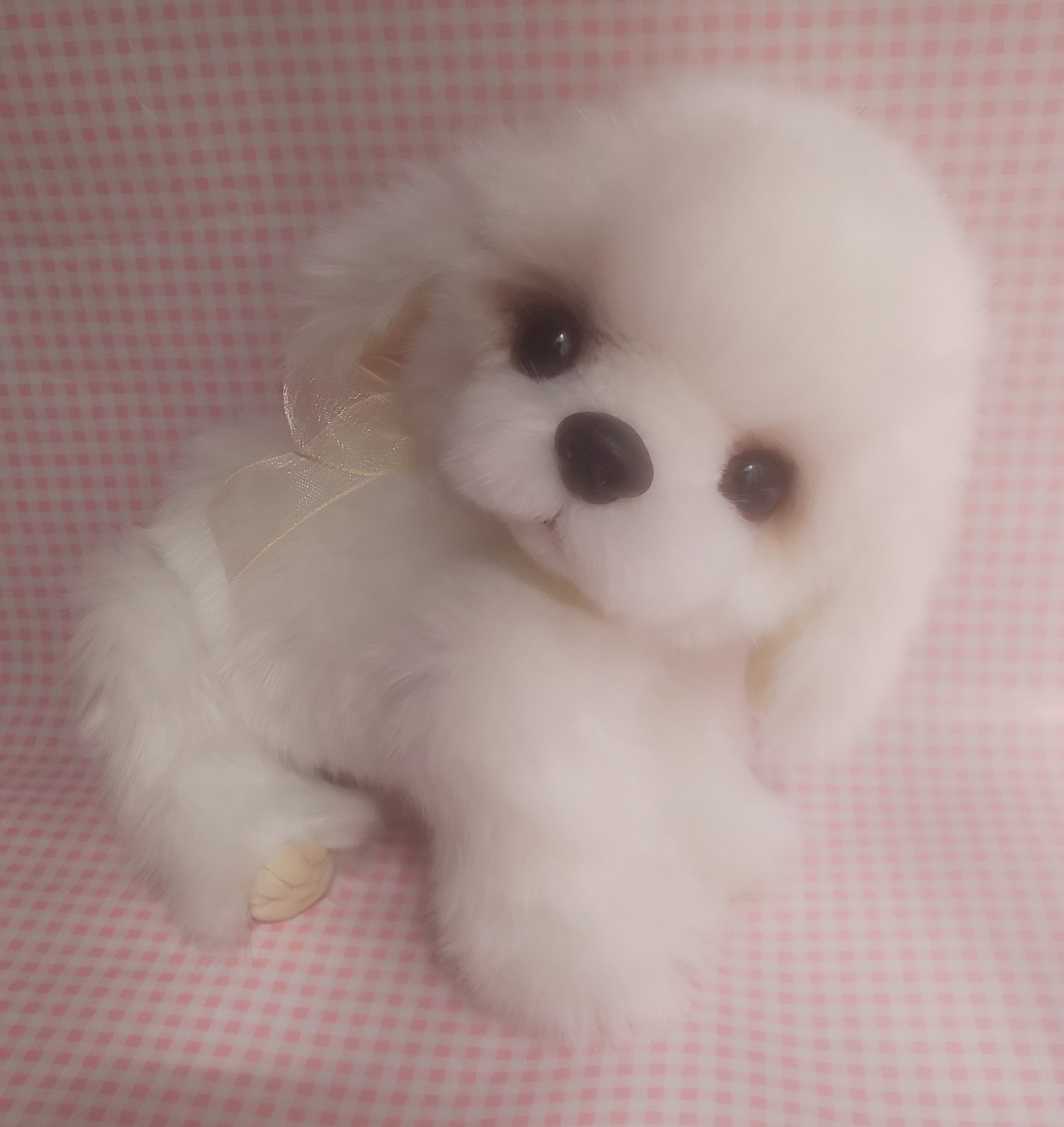 ふわふわぬいぐるみ 垂れ耳な犬 ホワイト Iichi ハンドメイド クラフト作品 手仕事品の通販