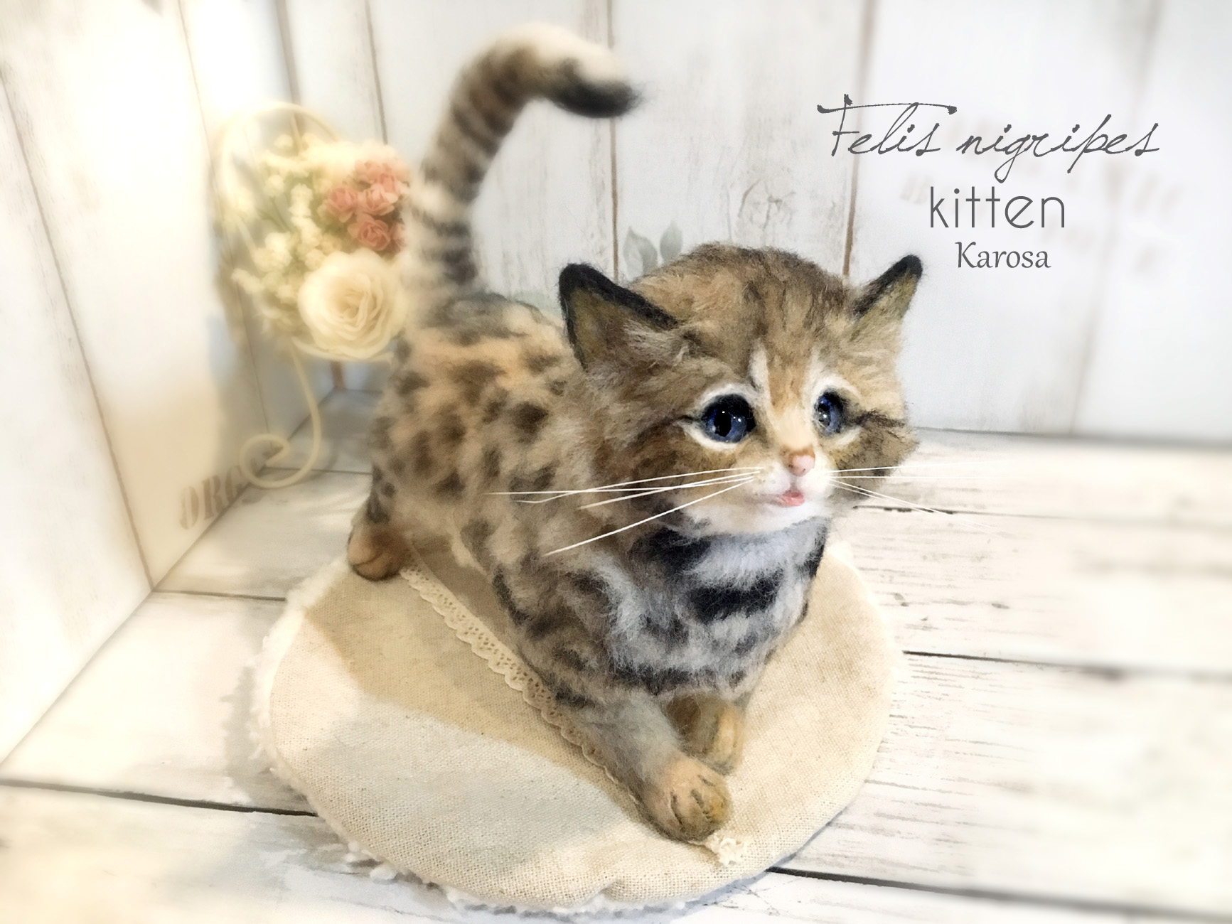可動 ポーズを変えられる クロアシネコ 赤ちゃん 子猫 世界最小の猫 Iichi ハンドメイド クラフト作品 手仕事品の通販