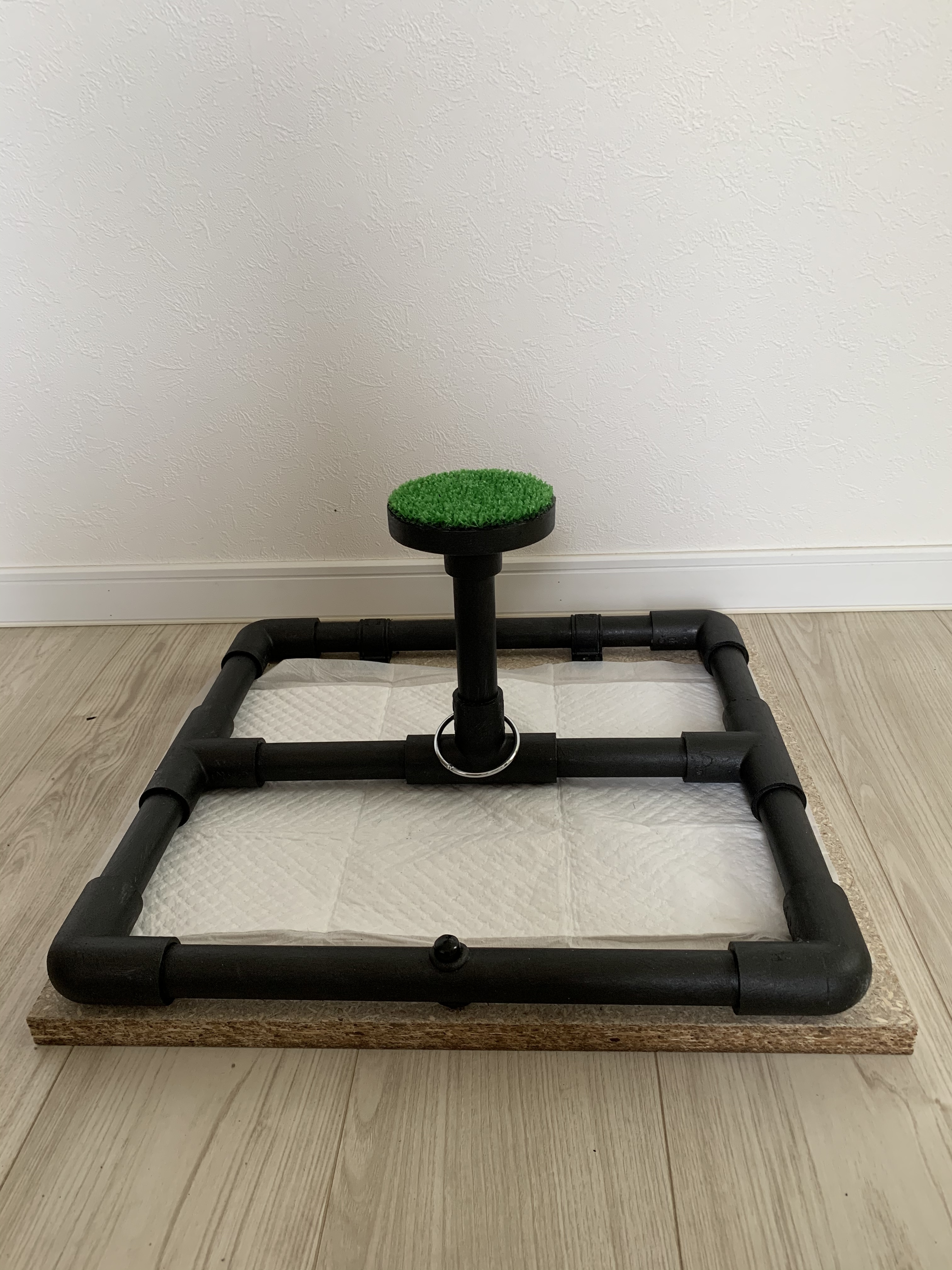 現代洋画家 清水じょうてん 6号アネモネ