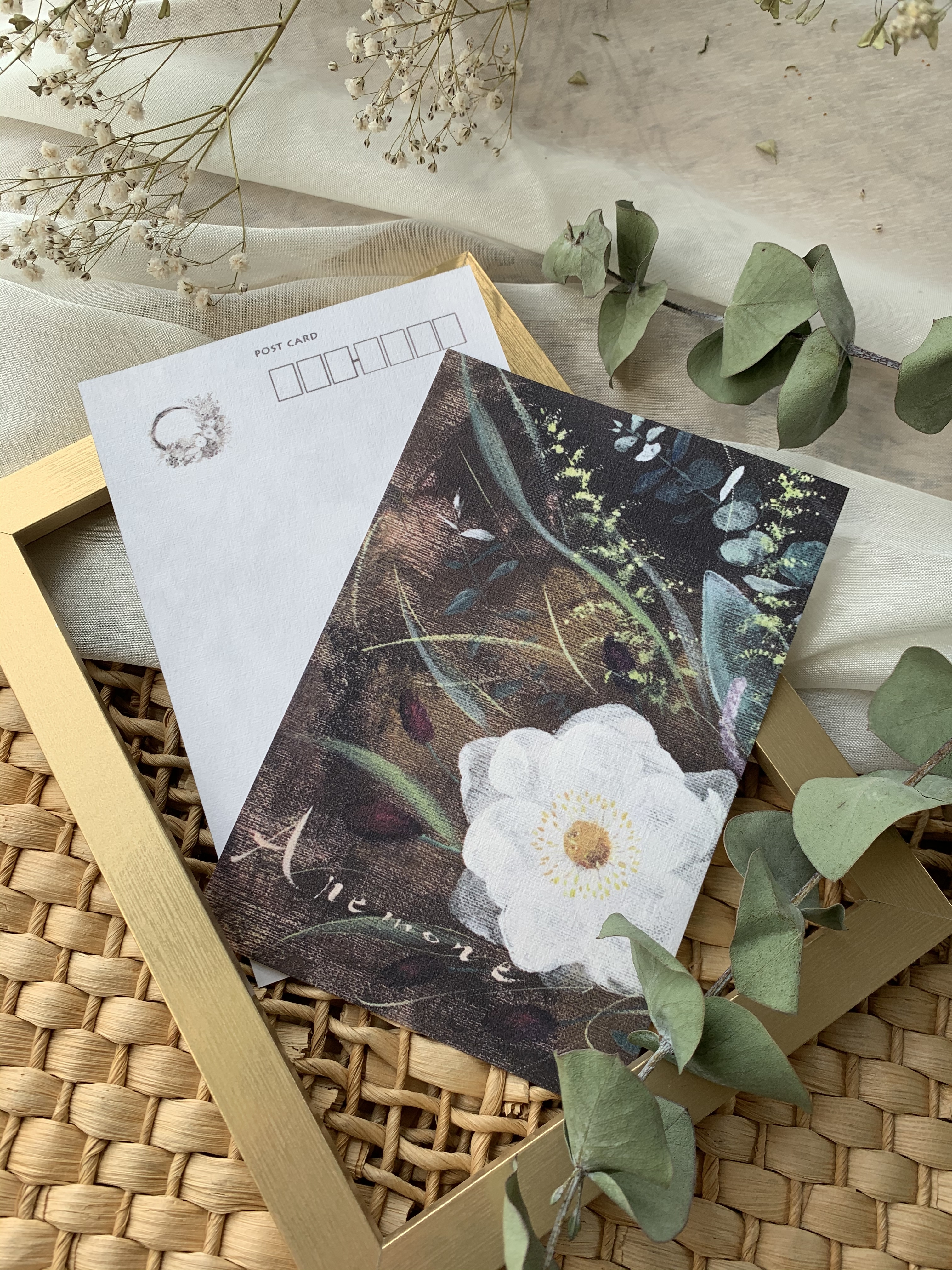 アネモネ ドライフラワーのポストカード2枚セット Iichi ハンドメイド クラフト作品 手仕事品の通販