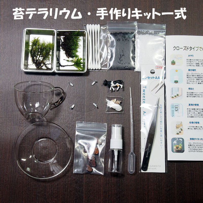 苔テラリウム 手作りキット一式 ティーカップ Iichi ハンドメイド クラフト作品 手仕事品の通販