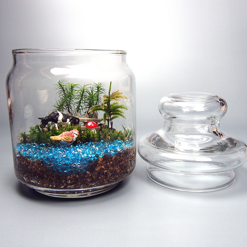 苔テラリウム 手作りキット一式 ガラスポット Iichi ハンドメイド クラフト作品 手仕事品の通販