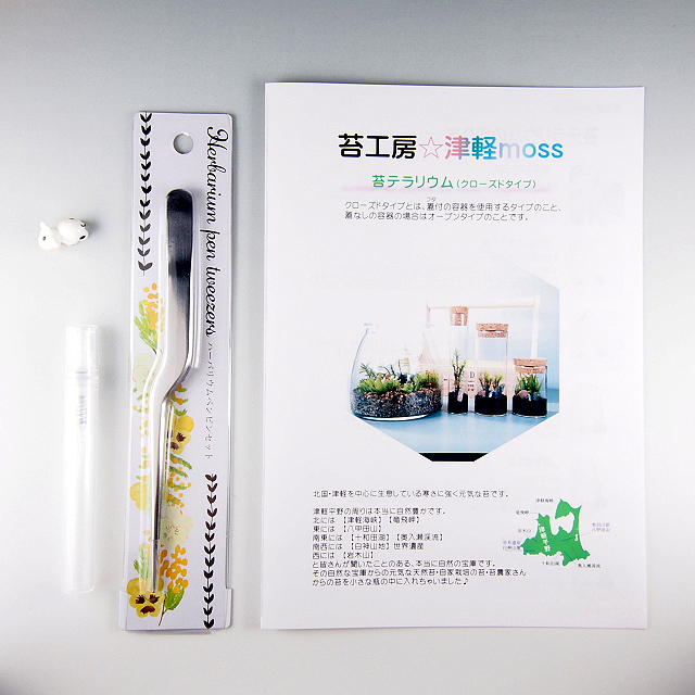 苔テラリウム 試験管4本セット メイプルウッドタイプ Iichi ハンドメイド クラフト作品 手仕事品の通販