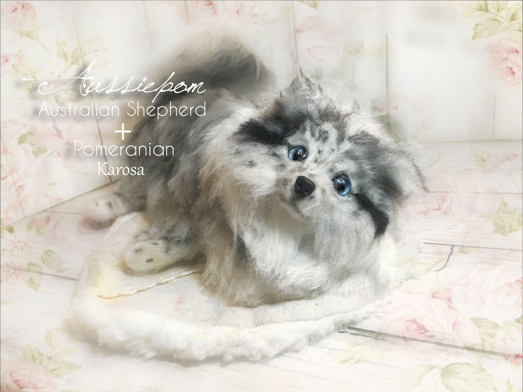 オージーポム オーストラリアンシェパード ポメラニアン オージーポンポン 羊毛フェルト Iichi ハンドメイド クラフト作品 手仕事品の通販