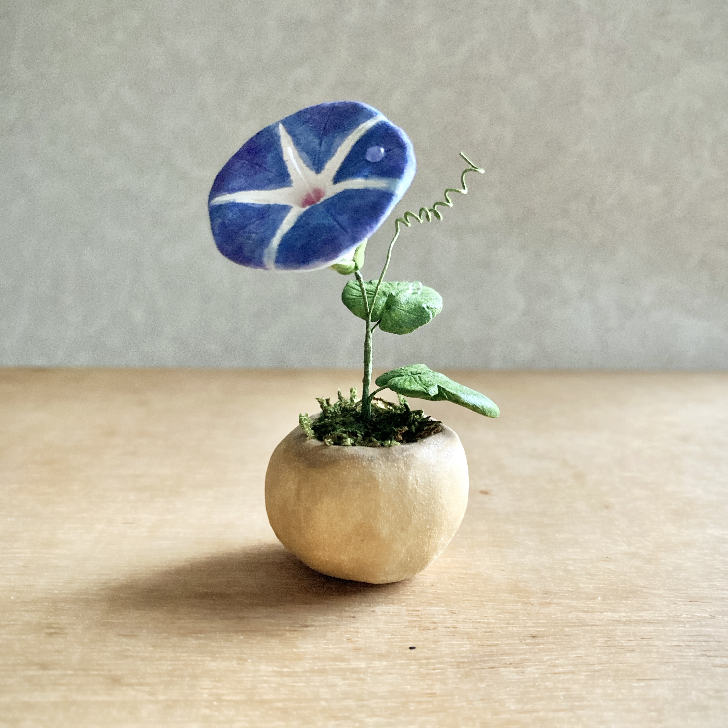 5752 Bud 粘土の鉢植え アサガオ Iichi ハンドメイド クラフト作品 手仕事品の通販