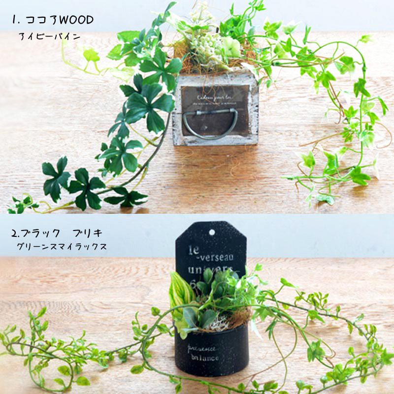 お部屋を彩る ワンポイント フェイク グリーン 6デザイン フェイク グリーン おしゃれ Iichi ハンドメイド クラフト作品 手仕事品の通販