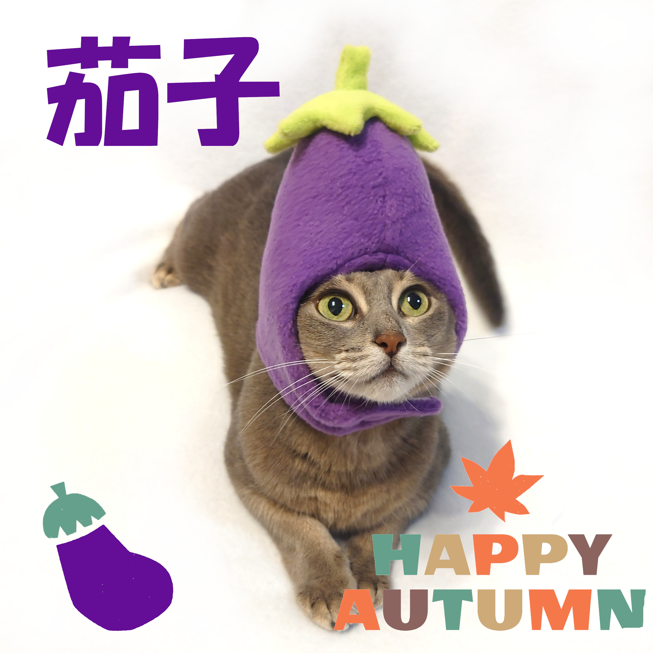 犬猫用コスプレ ナスのかぶりもの 帽子 Iichi ハンドメイド クラフト作品 手仕事品の通販