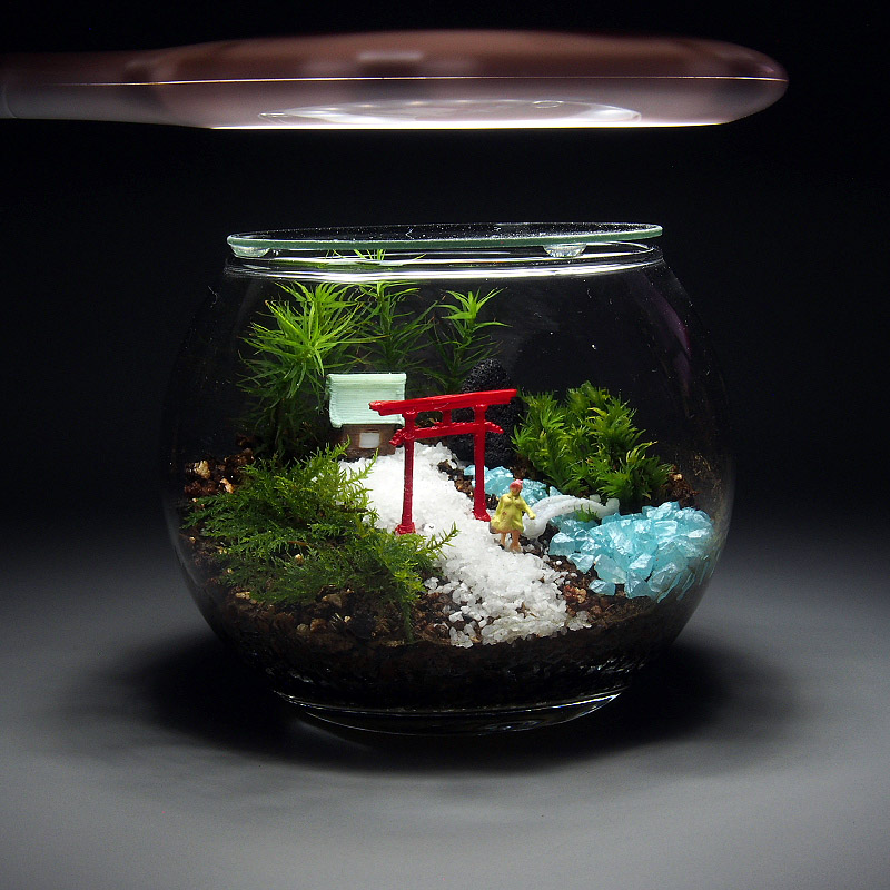 苔神社 苔テラリウム 手作りキット一式 金魚鉢 Iichi ハンドメイド クラフト作品 手仕事品の通販