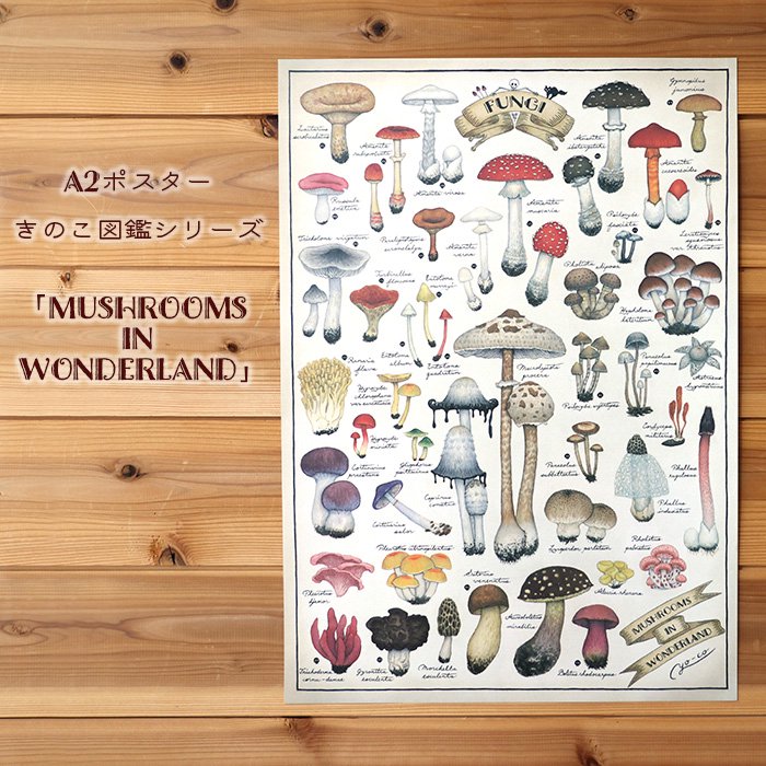 ポスター キノコ図鑑シリーズ3 Mushrooms In Wonderland Iichi ハンドメイド クラフト作品 手仕事品の通販
