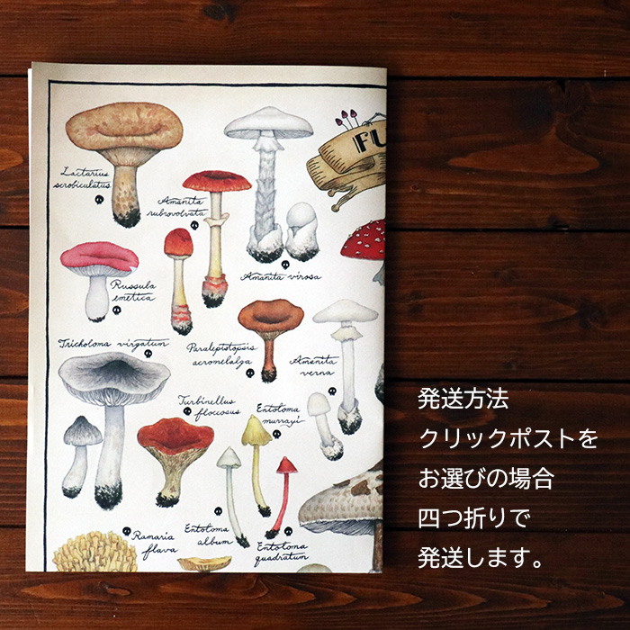 ポスター キノコ図鑑シリーズ3 Mushrooms In Wonderland Iichi ハンドメイド クラフト作品 手仕事品の通販