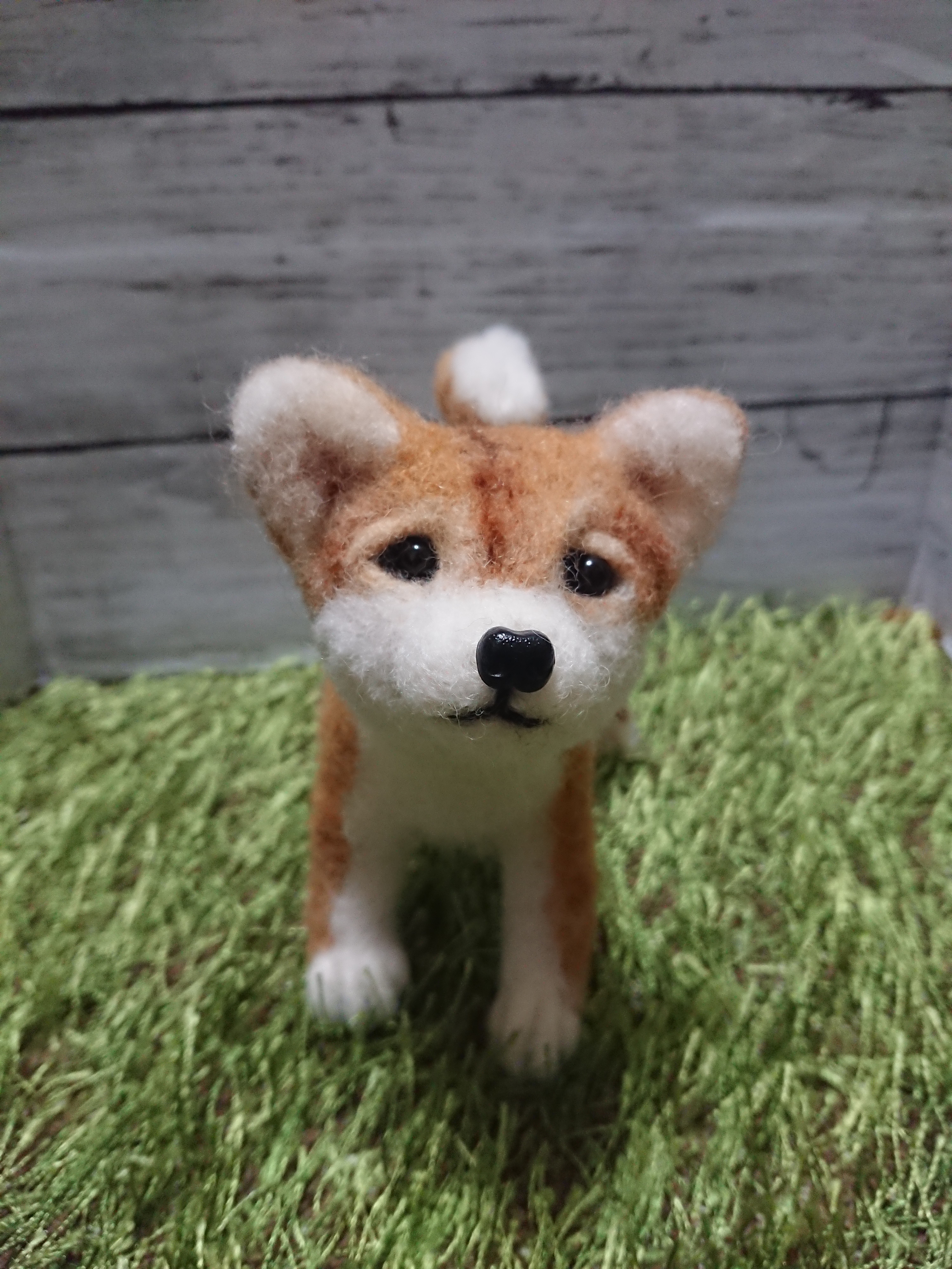 羊毛フェルト 犬 柴犬 リアル 愛犬 ペット 人形 犬 ぬいぐるみ うちの子 Iichi ハンドメイド クラフト作品 手仕事品の通販