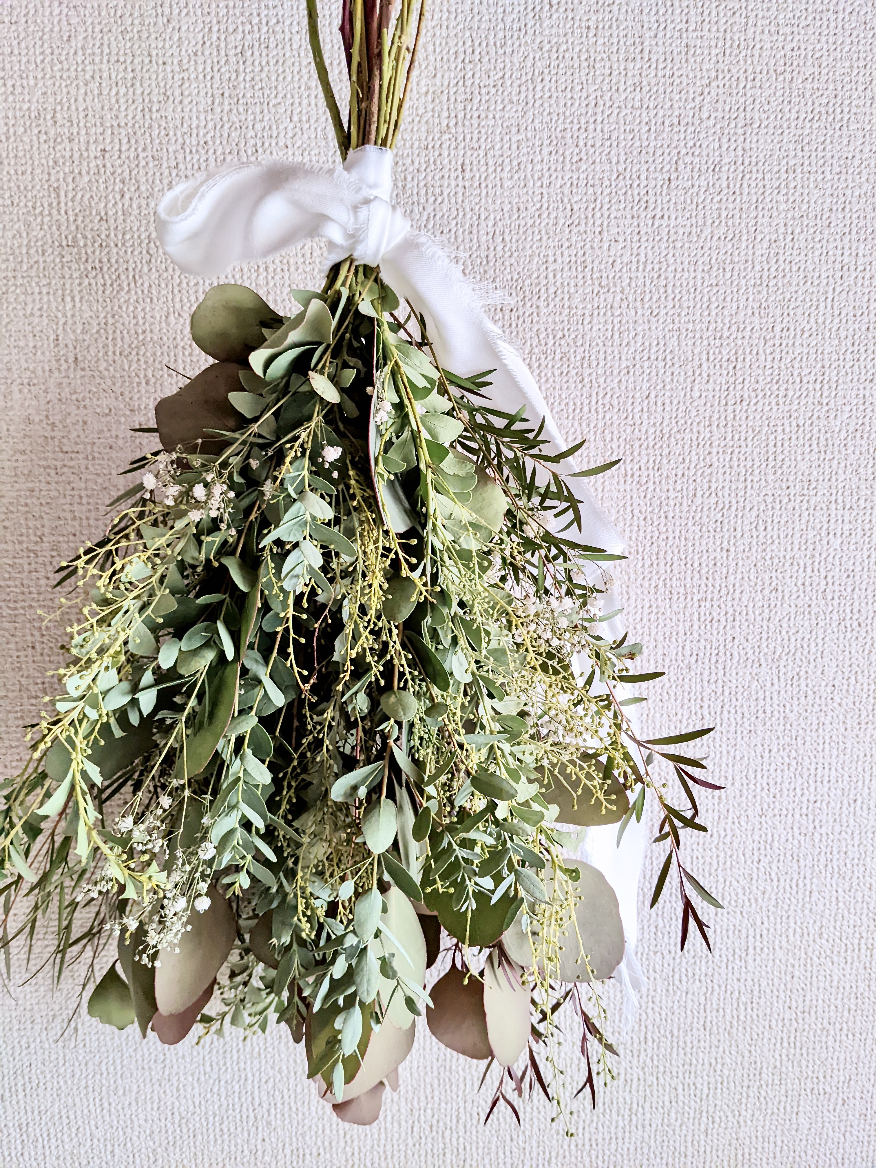 ミモザ三角葉 ミモザ 三角葉アカシア フレッシュ ドライフラワー リース スワッグ