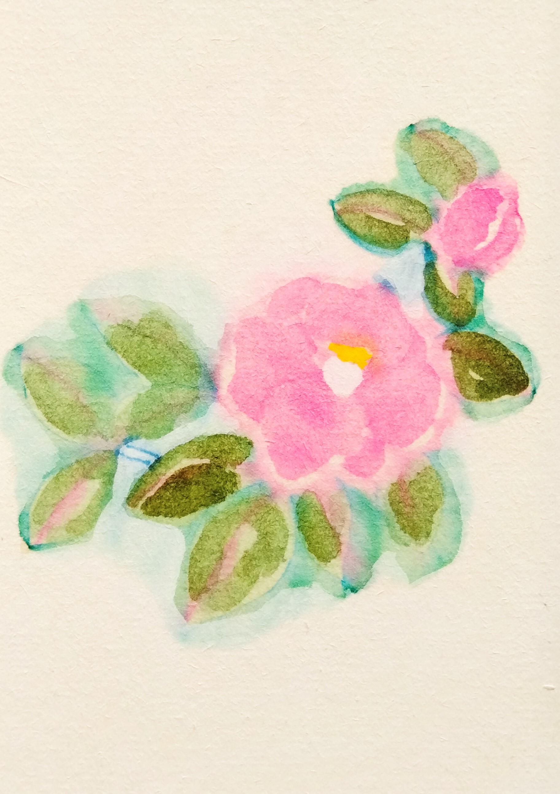 原画 山茶花 水彩イラスト 木製額縁入り Iichi ハンドメイド クラフト作品 手仕事品の通販