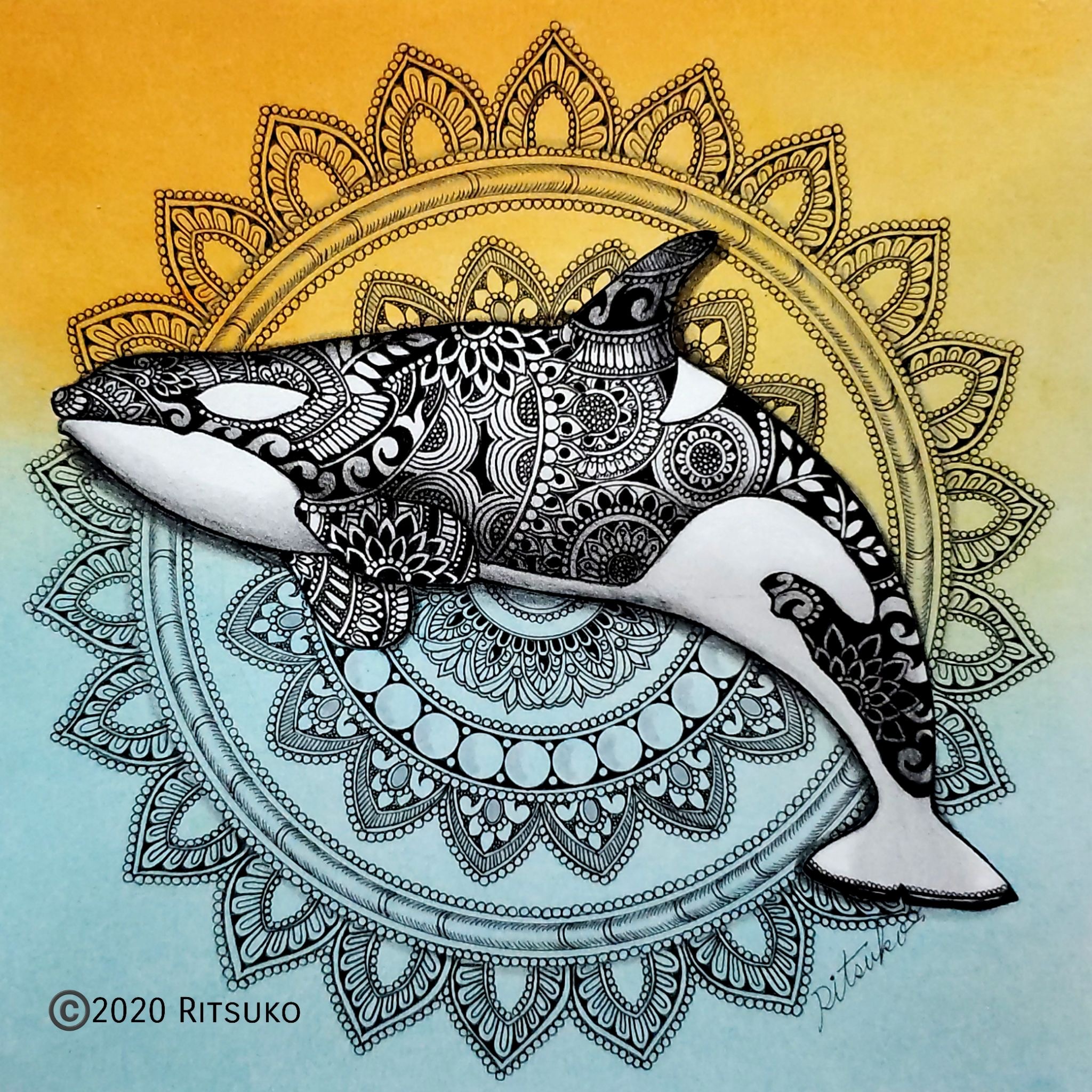 原画 1点もの ボールペンアート 色鉛筆画 ボールペン画 日本人作家 肉筆 絵画 絵 アート インテリア シャチ Iichi ハンドメイド クラフト作品 手仕事品の通販