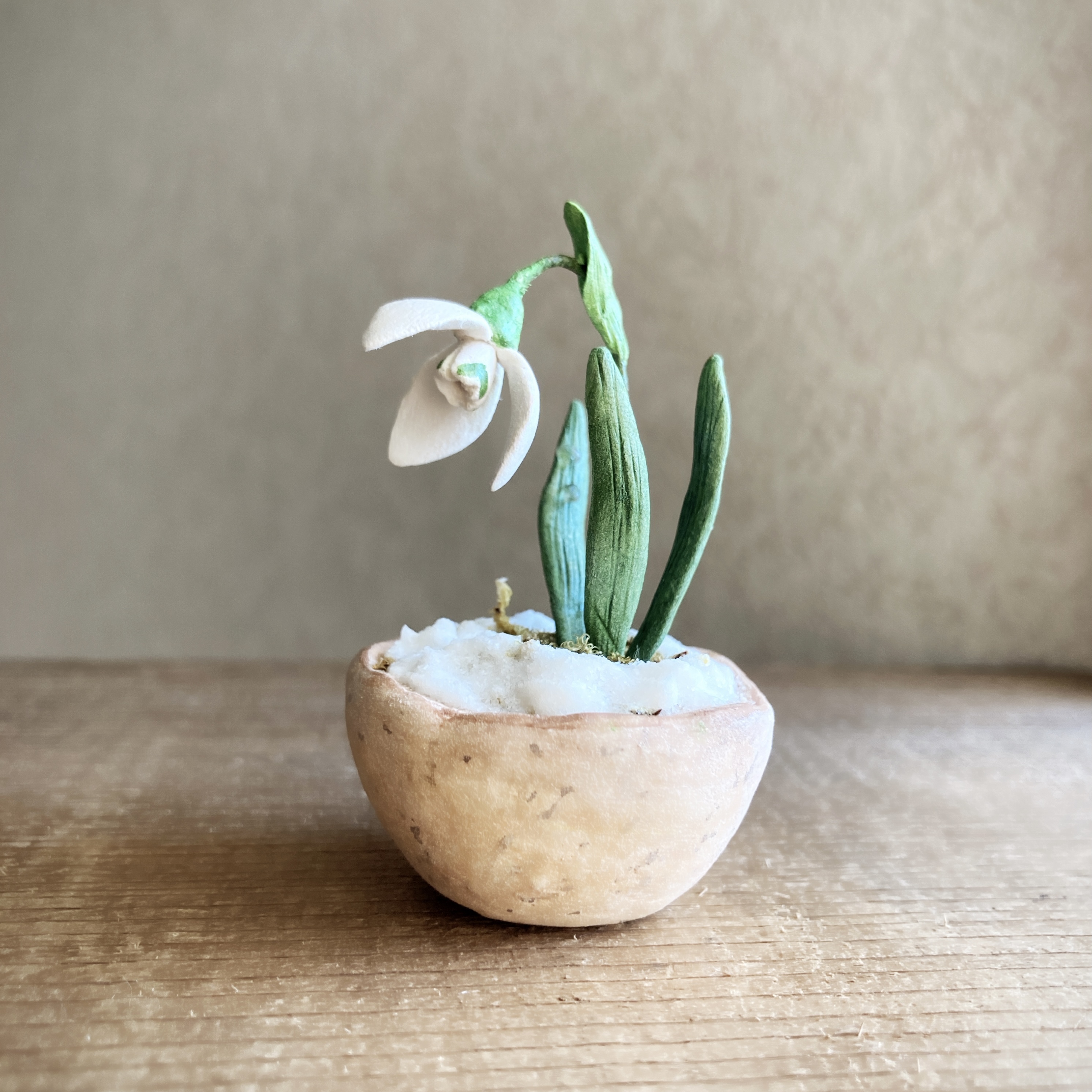 6295 Bud 粘土の鉢植え スノードロップ Iichi ハンドメイド クラフト作品 手仕事品の通販