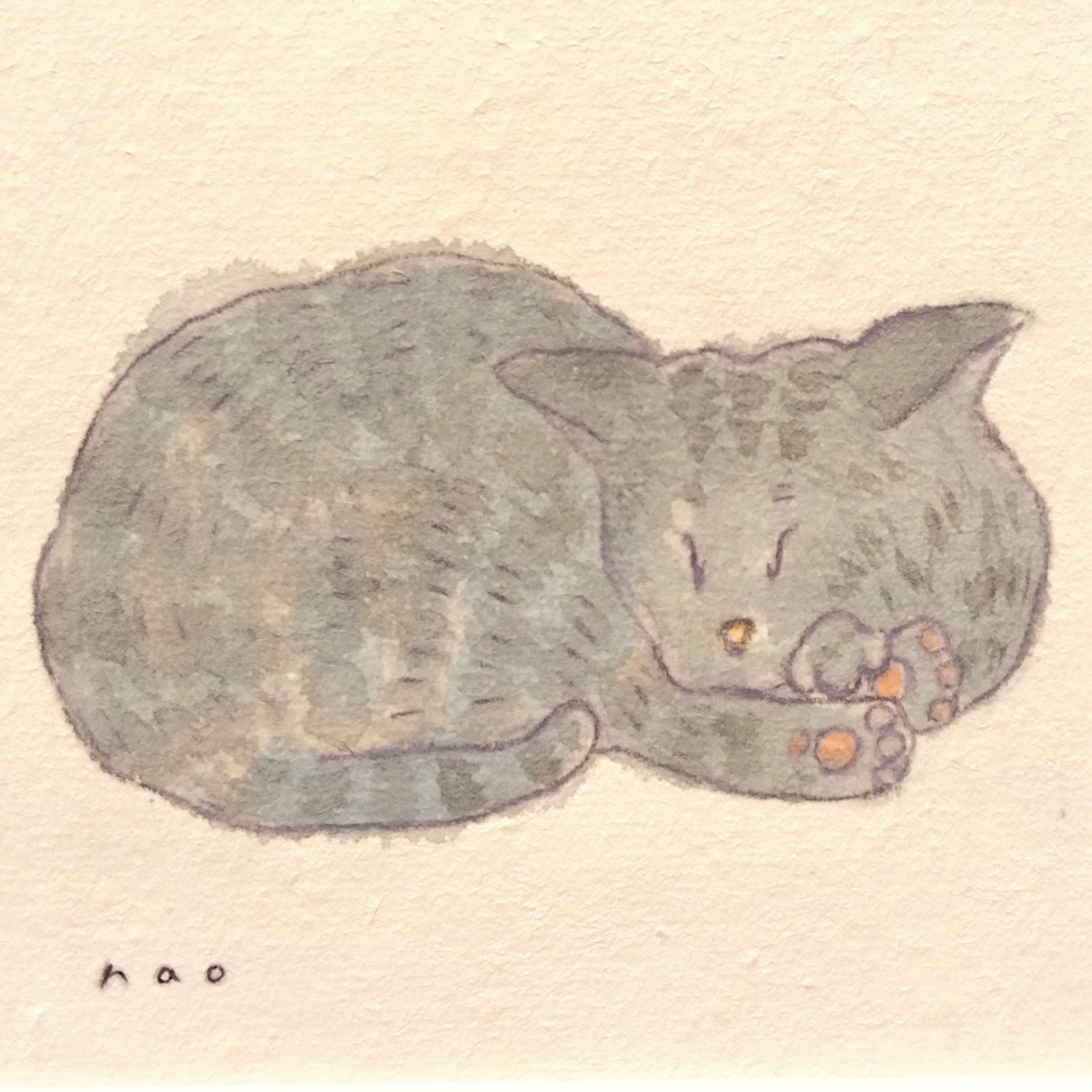 原画 眠り猫 水彩イラスト 木製額縁入り Iichi ハンドメイド クラフト作品 手仕事品の通販