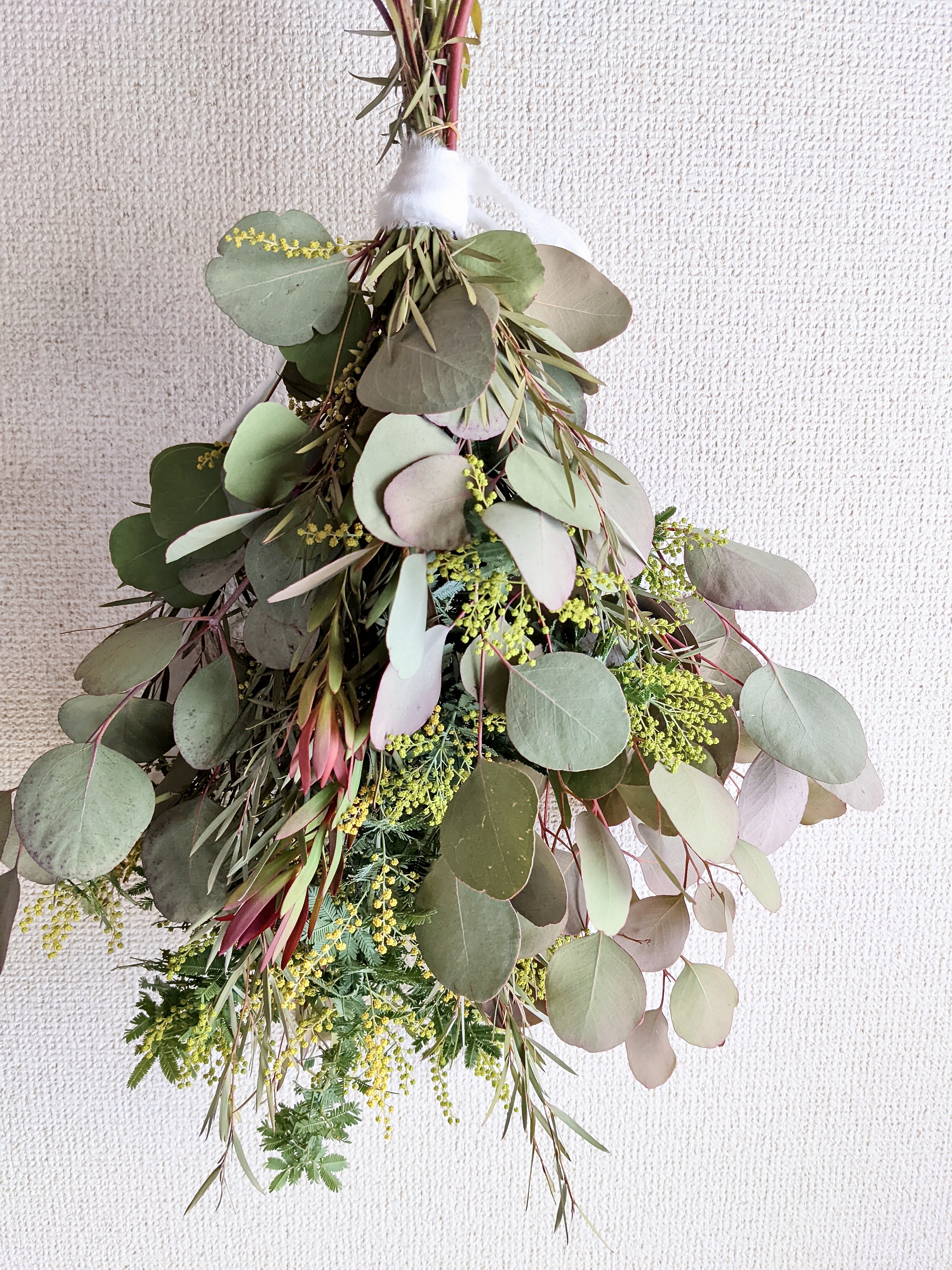 ユーカリポポラスの蕾がたわわに実る ミモザのナチュラル リース