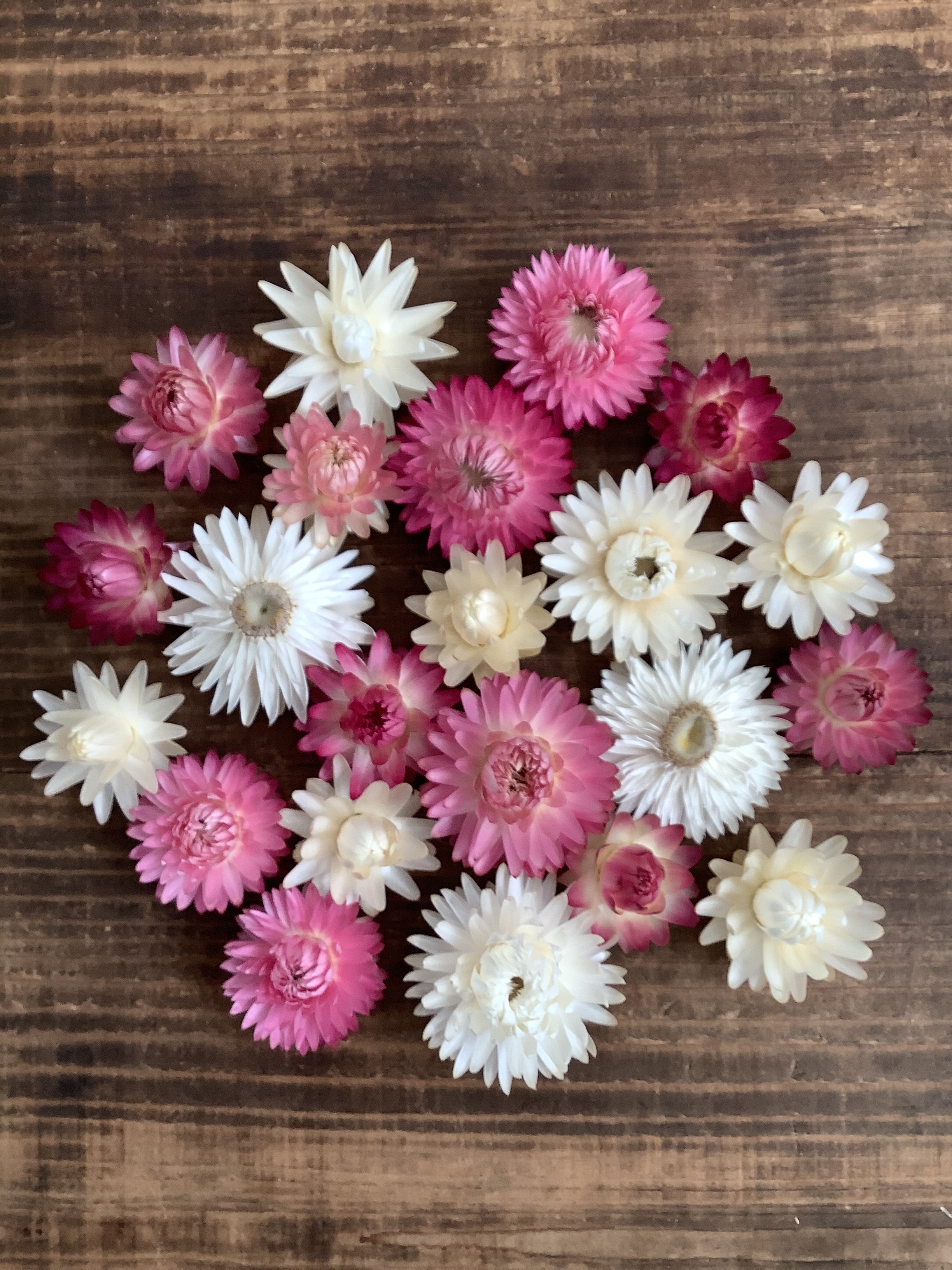 花材 よりどり3種類900円 ヘリクリサム 花かんざし ペーパーカスケード Iichi ハンドメイド クラフト作品 手仕事品の通販