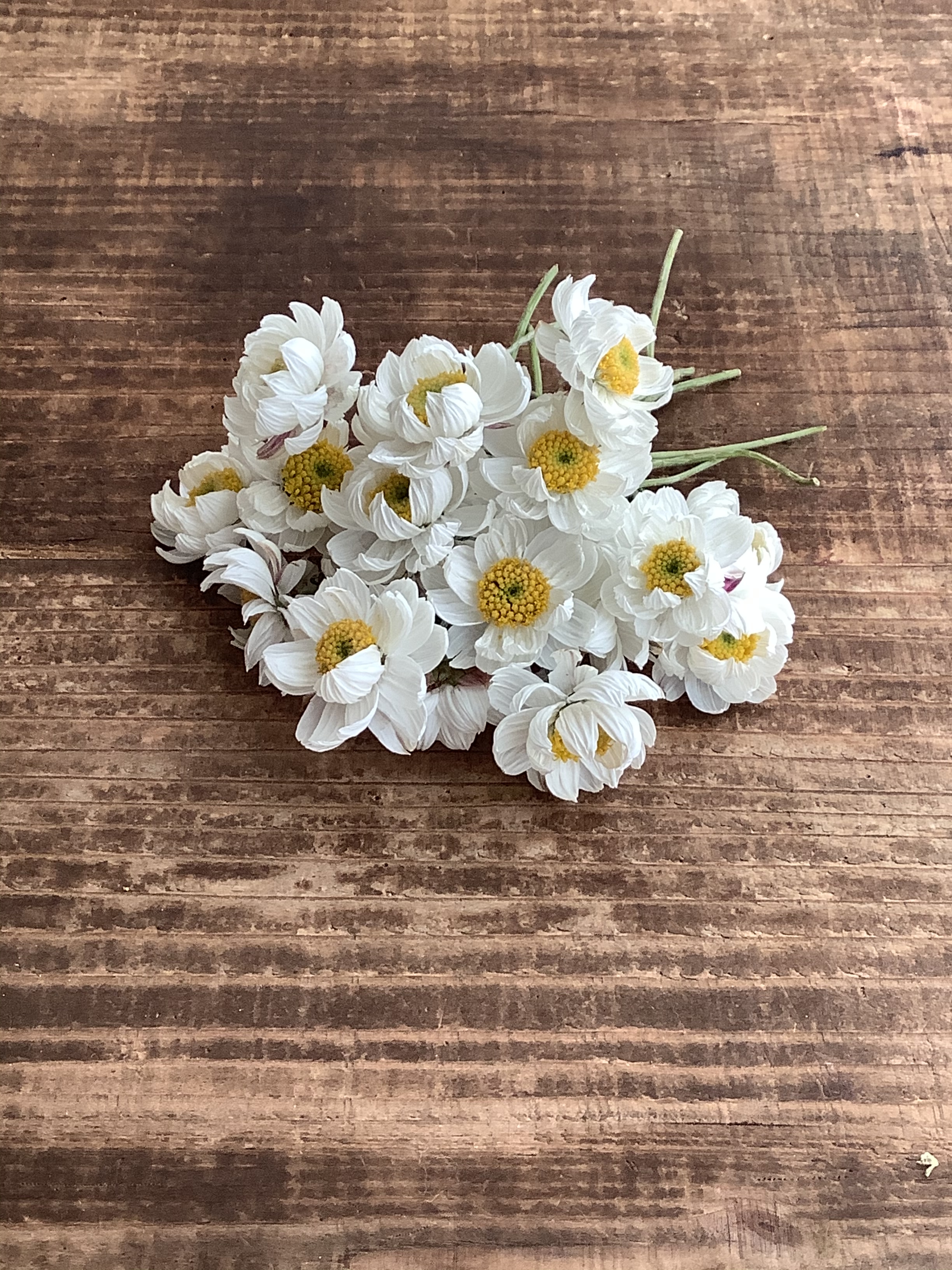 花材 よりどり3種類900円 ヘリクリサム 花かんざし ペーパーカスケード Iichi ハンドメイド クラフト作品 手仕事品の通販