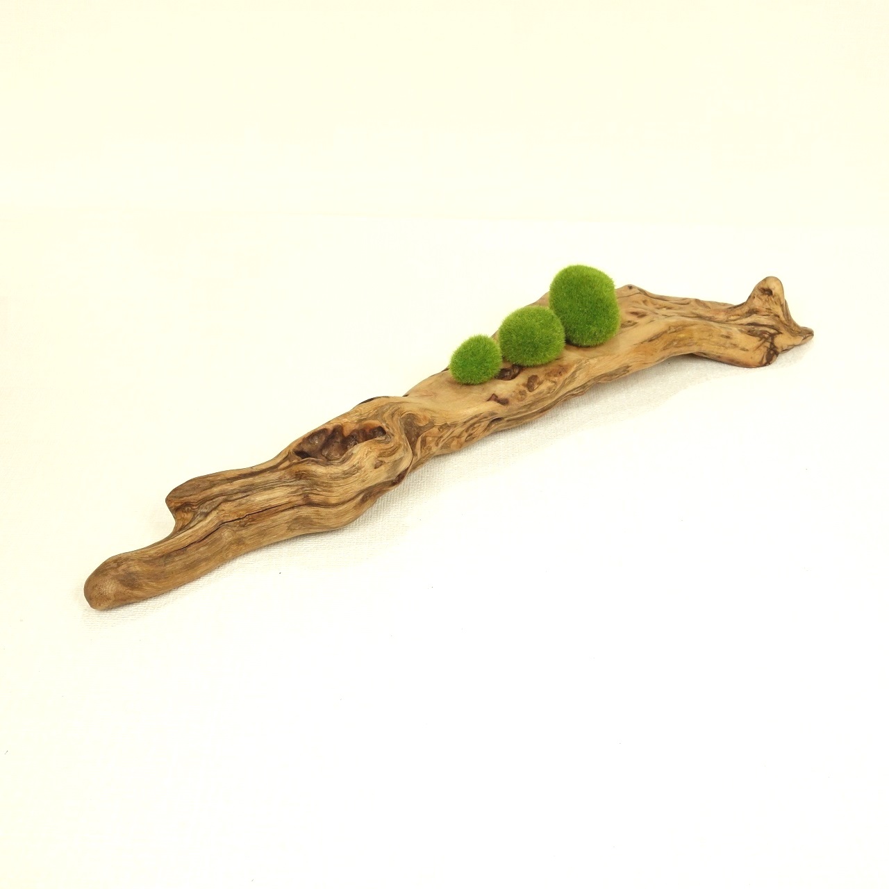 温泉流木 穴いっぱい美しい変形流木の台座 置台 流木インテリア Iichi ハンドメイド クラフト作品 手仕事品の通販