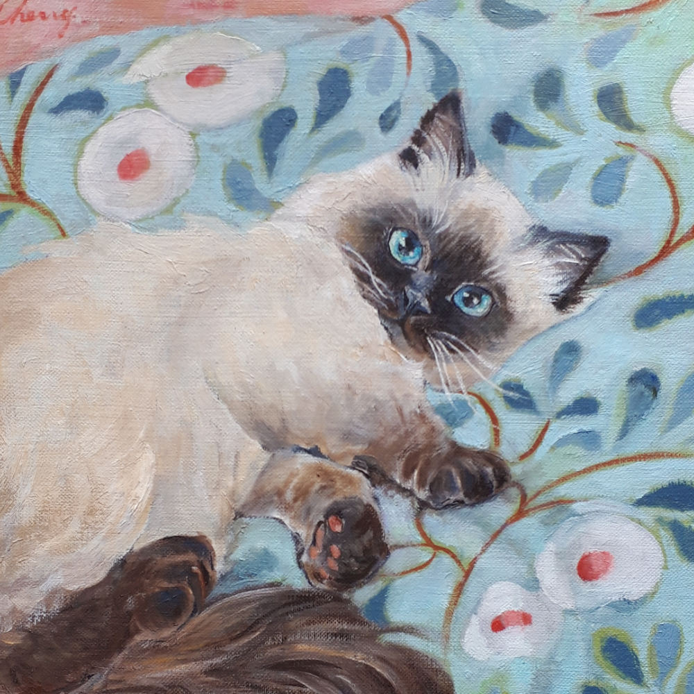 甘えん坊さん ヒマラヤン Iichi ハンドメイド クラフト作品 手仕事品の通販 甘えん坊さん ヒマラヤン Iichi ハンドメイド クラフト作品 手仕事品の通販