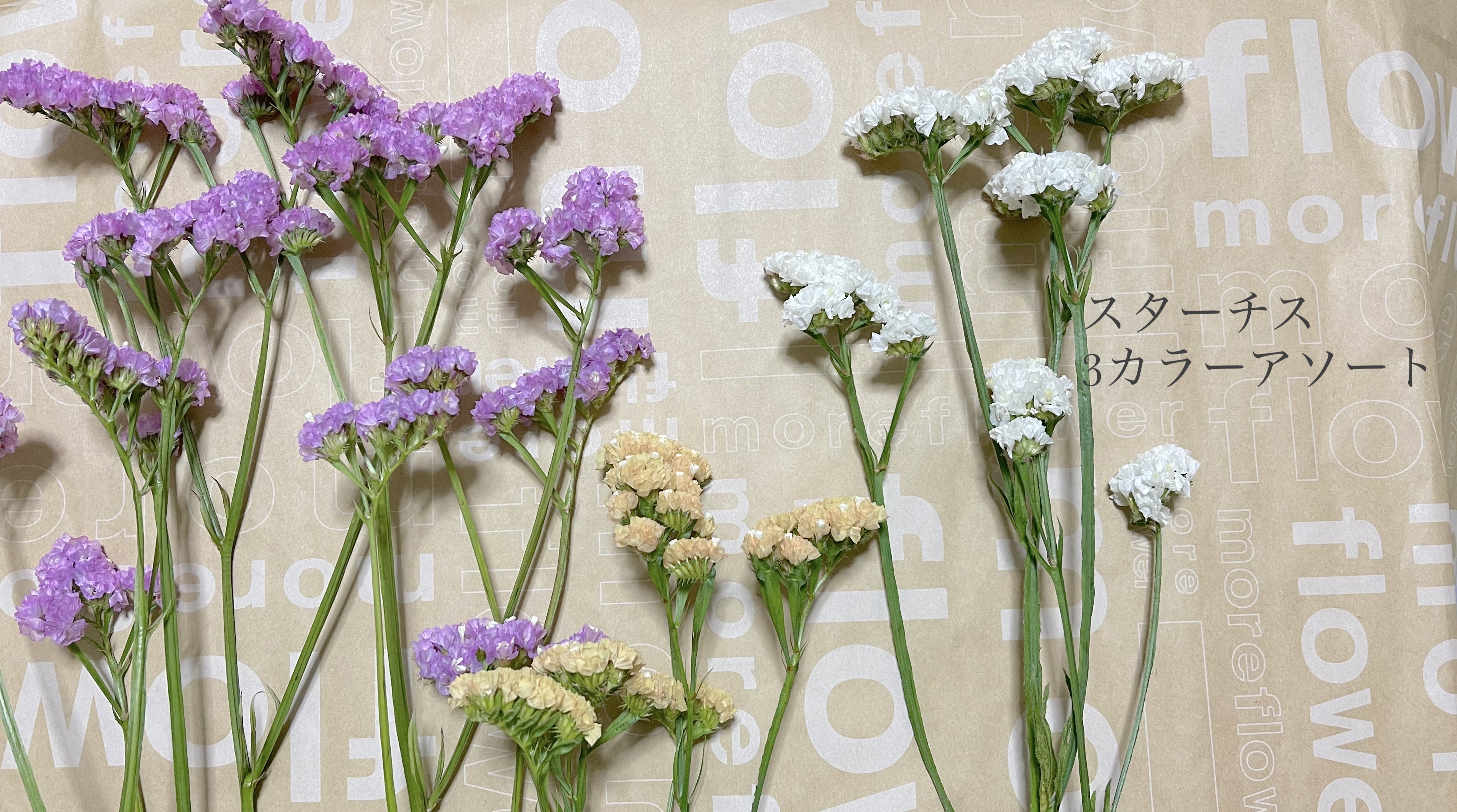 スターチス ドライフラワー 花材 レジン制作などに小さなお花です Iichi ハンドメイド クラフト作品 手仕事品の通販