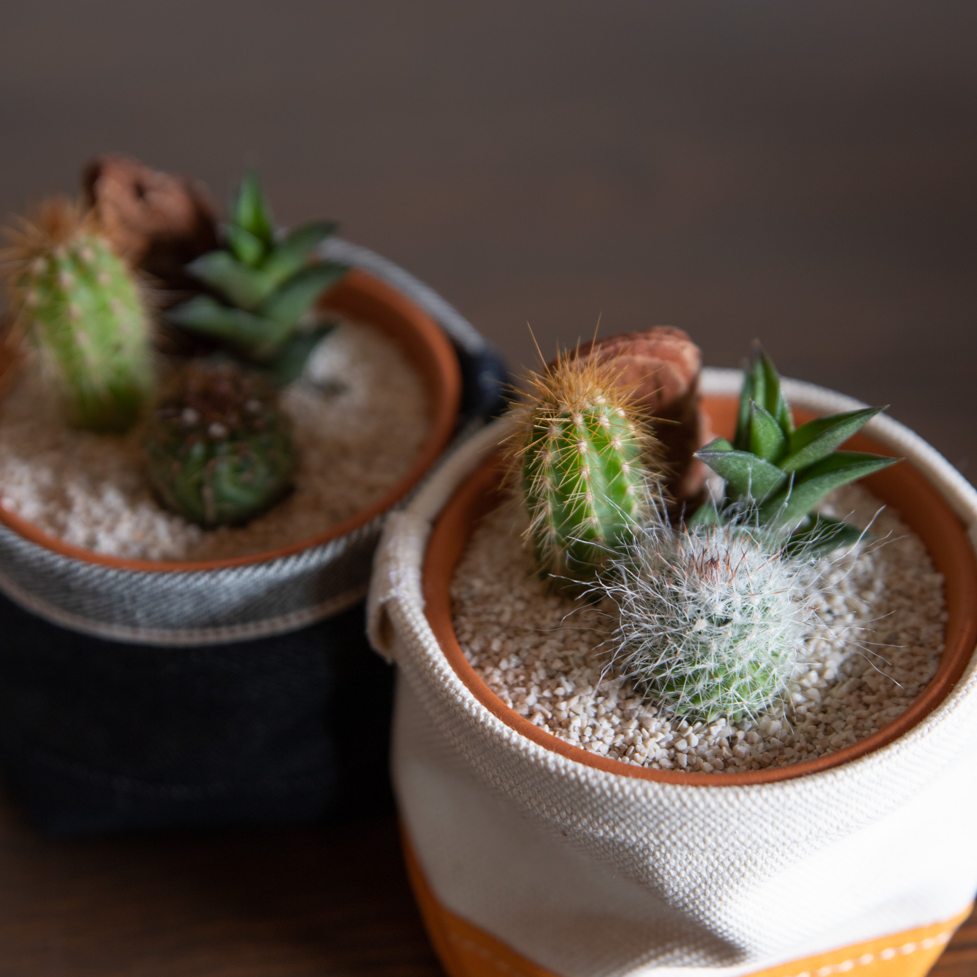 サボテン寄せ植えと鉢カバー2点セット 老舗バッグファクトリーが作る さぼてんのふくろ とサボテン屋さんとのコラボ商品 Iichi ハンドメイド クラフト作品 手仕事品の通販