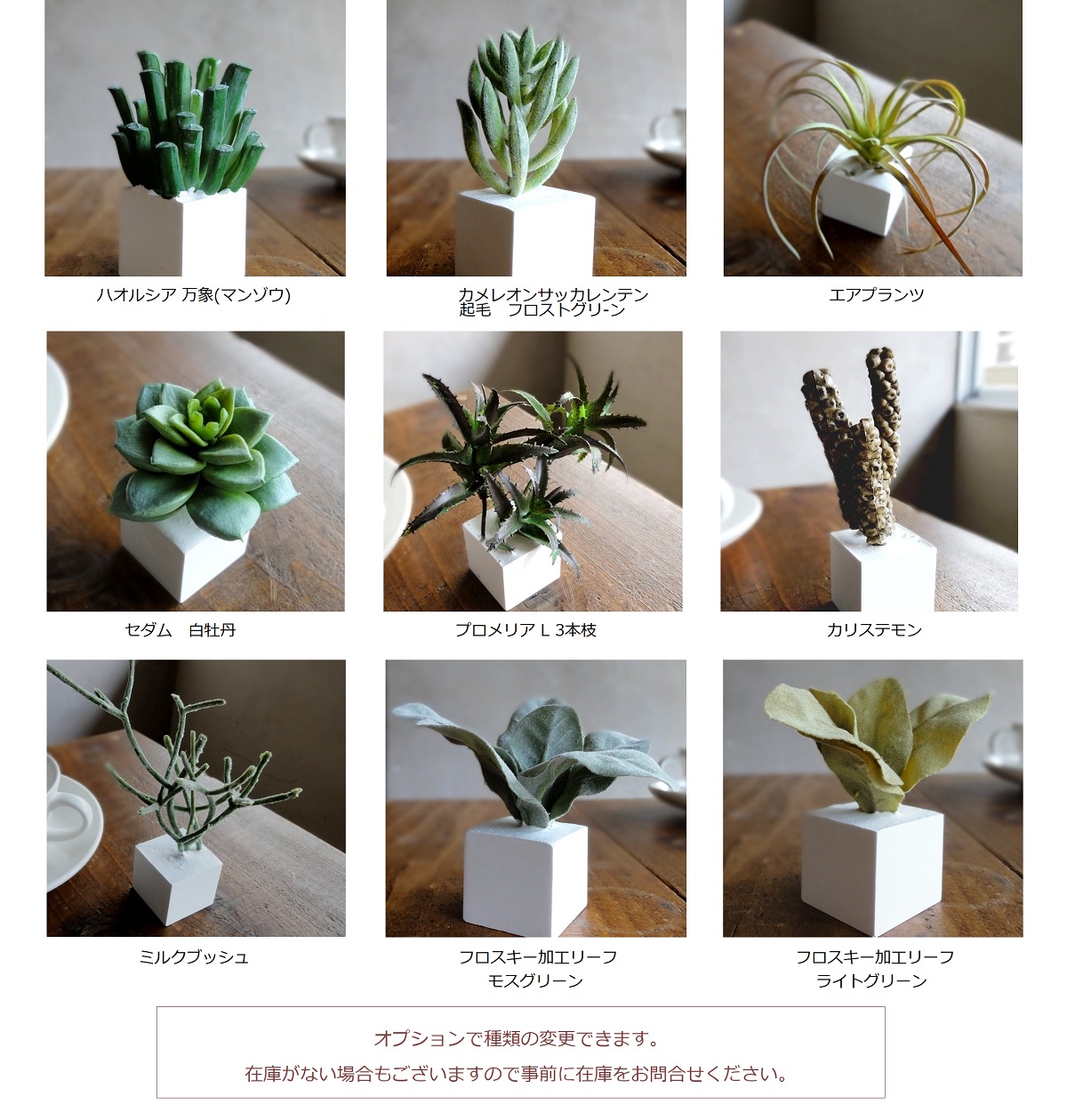 多肉植物のセットbox 種類変更オプション Iichi ハンドメイド クラフト作品 手仕事品の通販