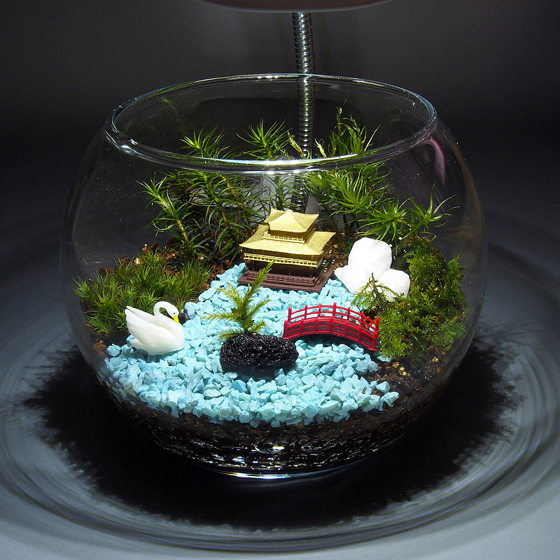 京都 苔テラリウム 手作りキット一式 日本庭園 父の日ギフト Iichi ハンドメイド クラフト作品 手仕事品の通販