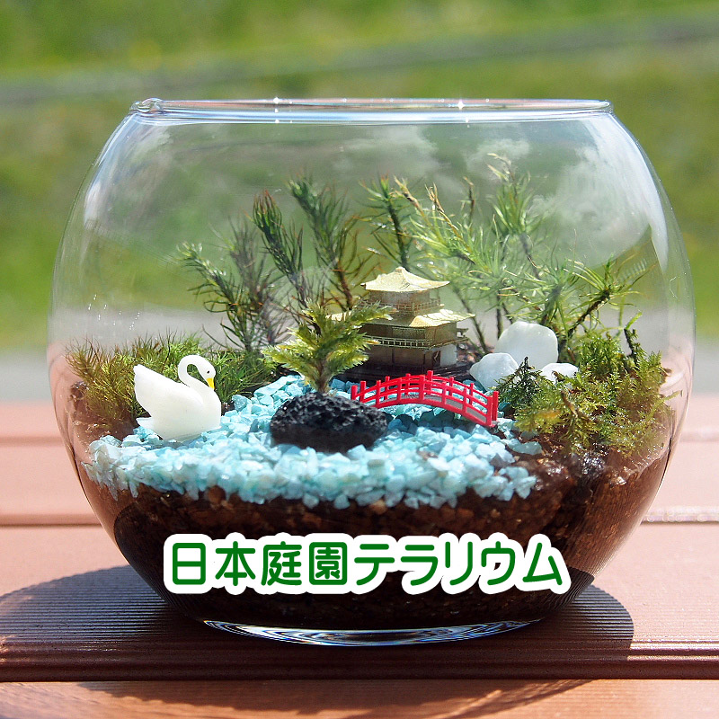 京都 苔テラリウム 手作りキット一式 日本庭園 父の日ギフト Iichi ハンドメイド クラフト作品 手仕事品の通販