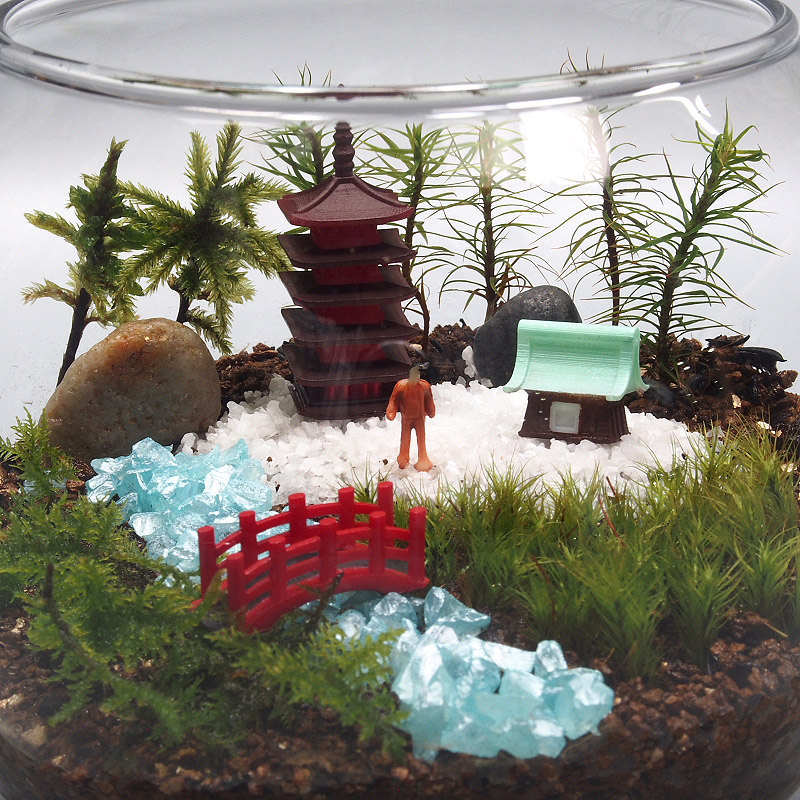 10円 超歓迎 父の日 苔盆 苔 コケ テラリウム 手作り 工作 キット 苔