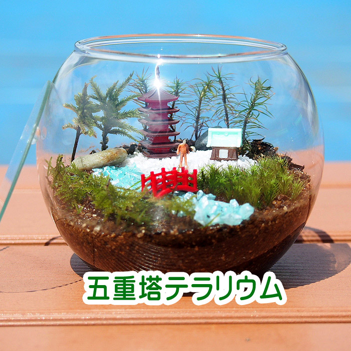 五重塔【苔テラリウム・手作りキット一式】日本情景 父の日ギフト | iichi ハンドメイド・クラフト作品・手仕事品の通販