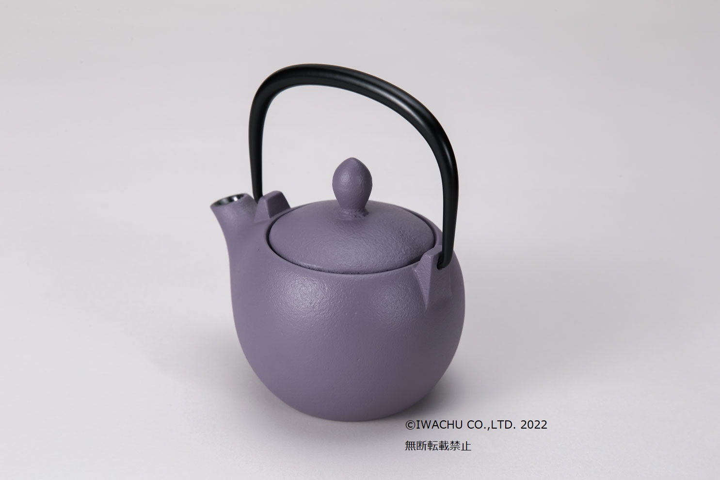 超安い品質 値下げ 南部鉄器 岩鋳 急須 若草艶消よもぎ2 3人用 Tech Muhoko Org