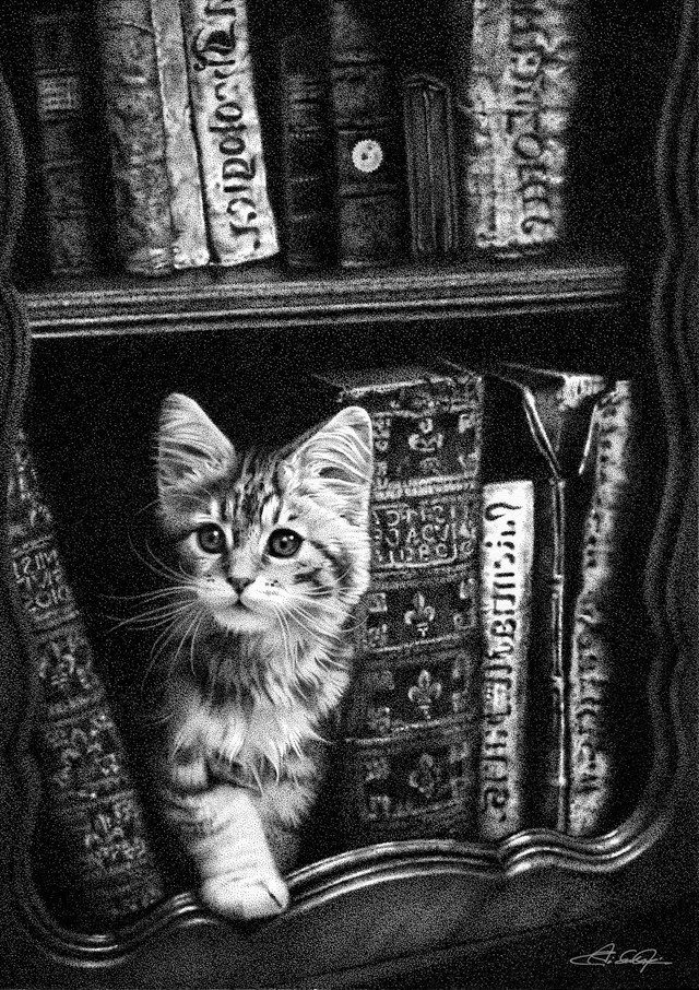 猫と本棚（ペン画） | iichi ハンドメイド・クラフト作品・手仕事品の通販