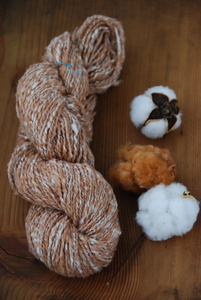 自家栽培コットンの手紡ぎ糸 Iichi ハンドメイド クラフト作品 手仕事品の通販