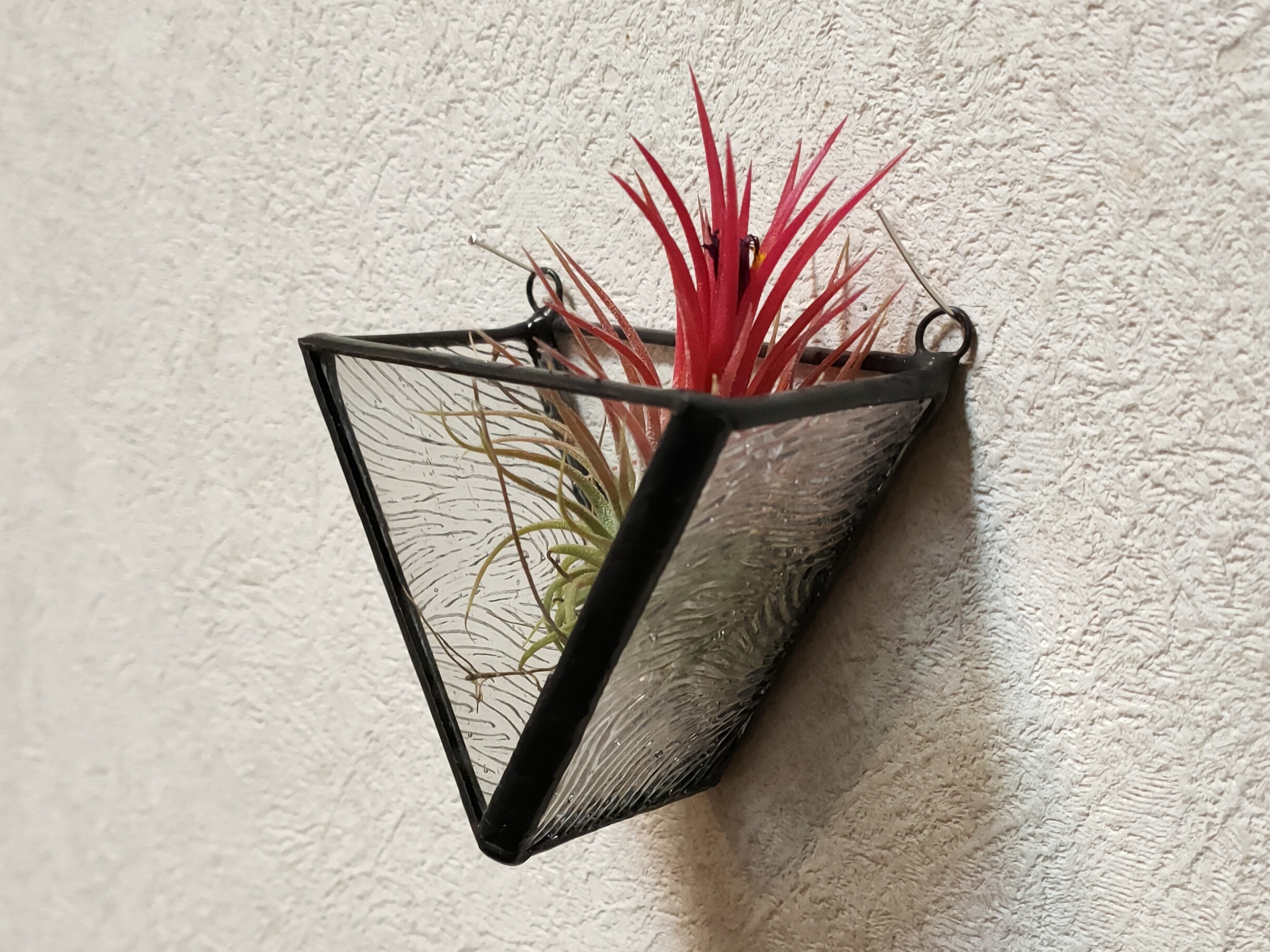 エアプランツホルダー Iichi ハンドメイド クラフト作品 手仕事品の通販