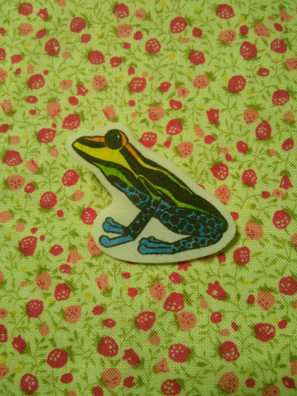 ウアカリヤドクガエルブローチ Iichi ハンドメイド クラフト作品 手仕事品の通販