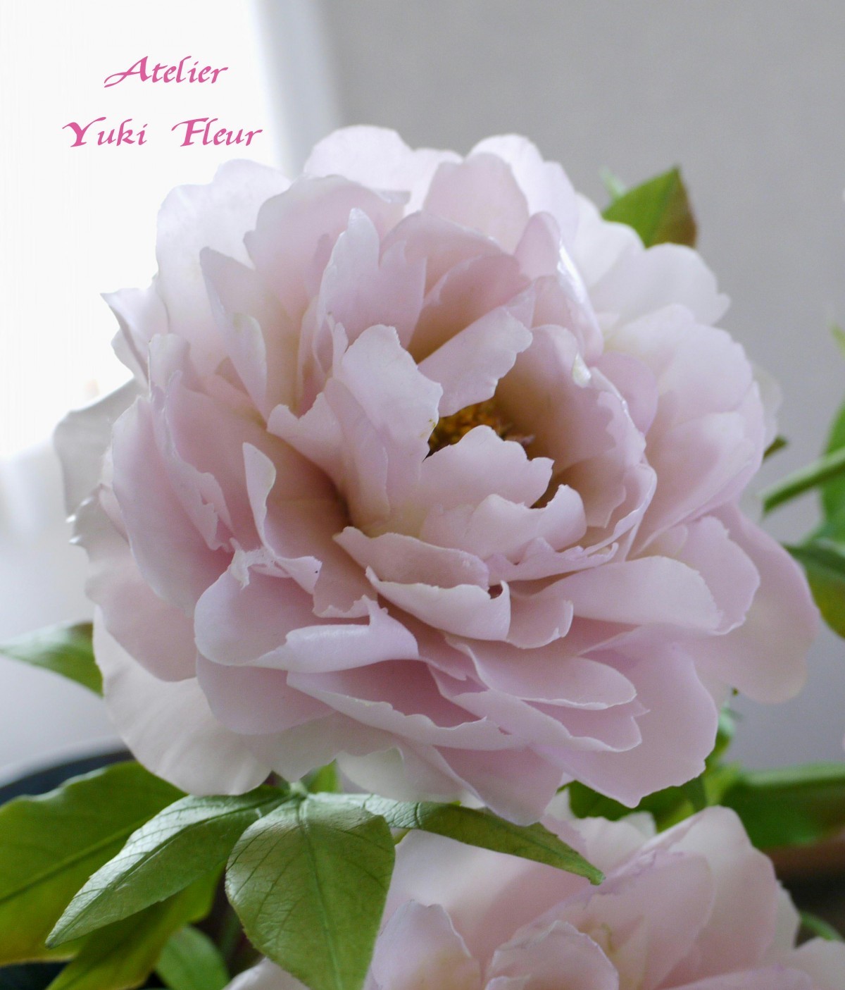 受注作品>クレイフラワー(ふんわり~芍薬・一本) iichi