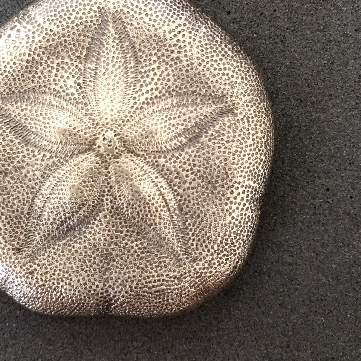 カシパンウニのペンダント 大 受注制作 Iichi ハンドメイド クラフト作品 手仕事品の通販