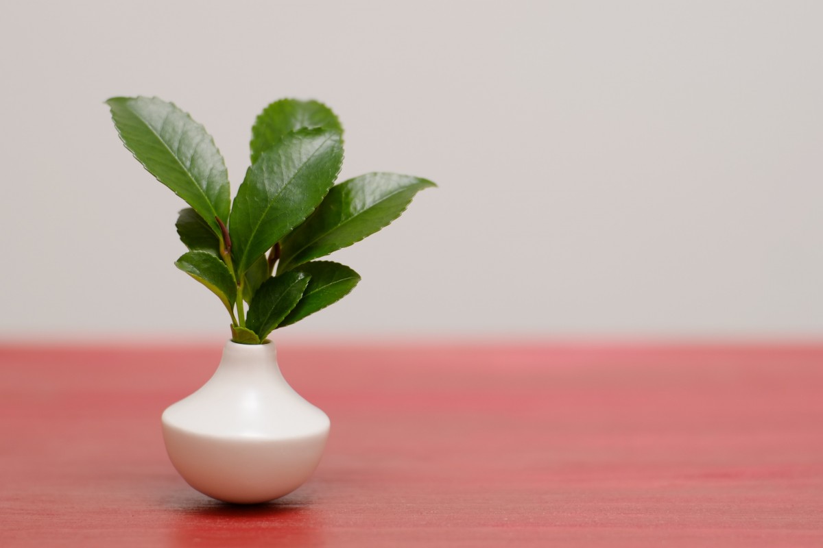 シンプルモダン神棚用神器 コパ Iichi ハンドメイド クラフト作品 手仕事品の通販