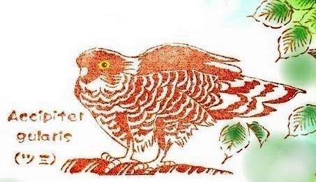 猛禽類ツミ Iichi ハンドメイド クラフト作品 手仕事品の通販