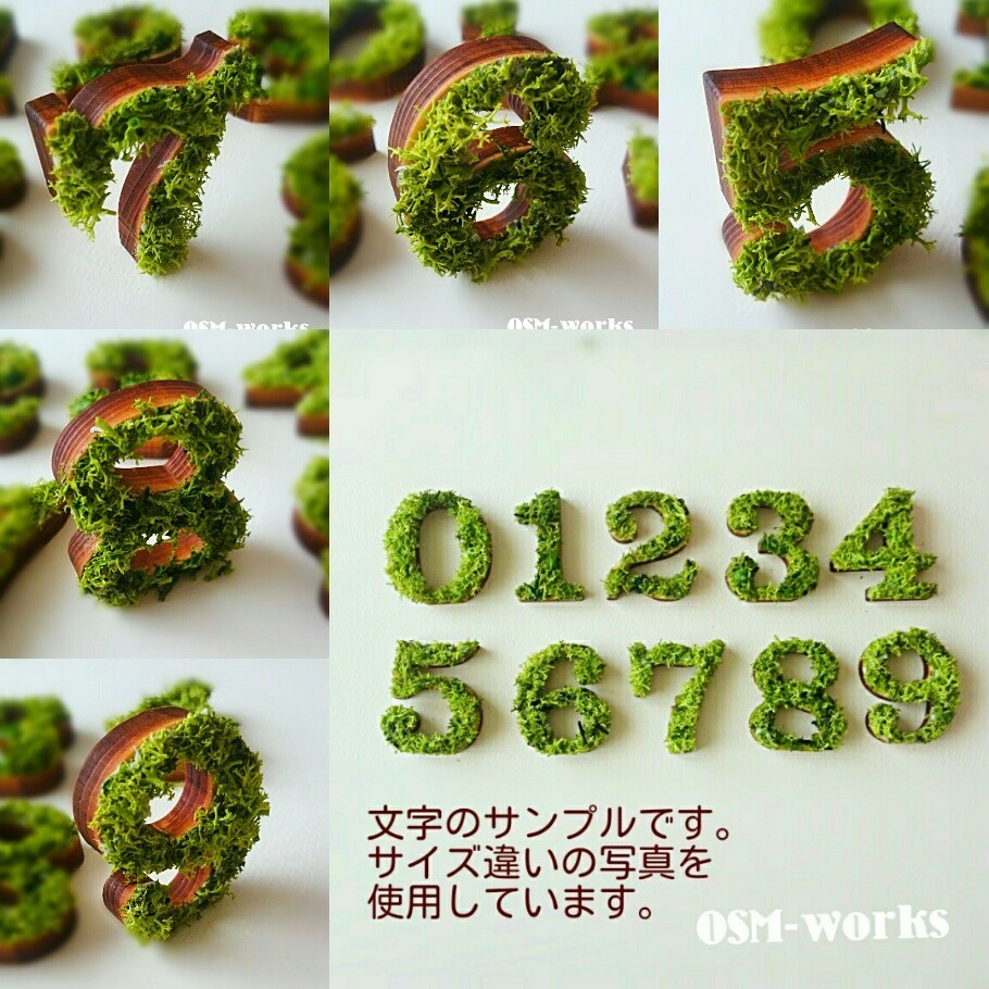 木製オブジェ モス ｌサイズ 18 5cm １点 ５ ６ ７ ８ ９ Iichi ハンドメイド クラフト作品 手仕事品の通販
