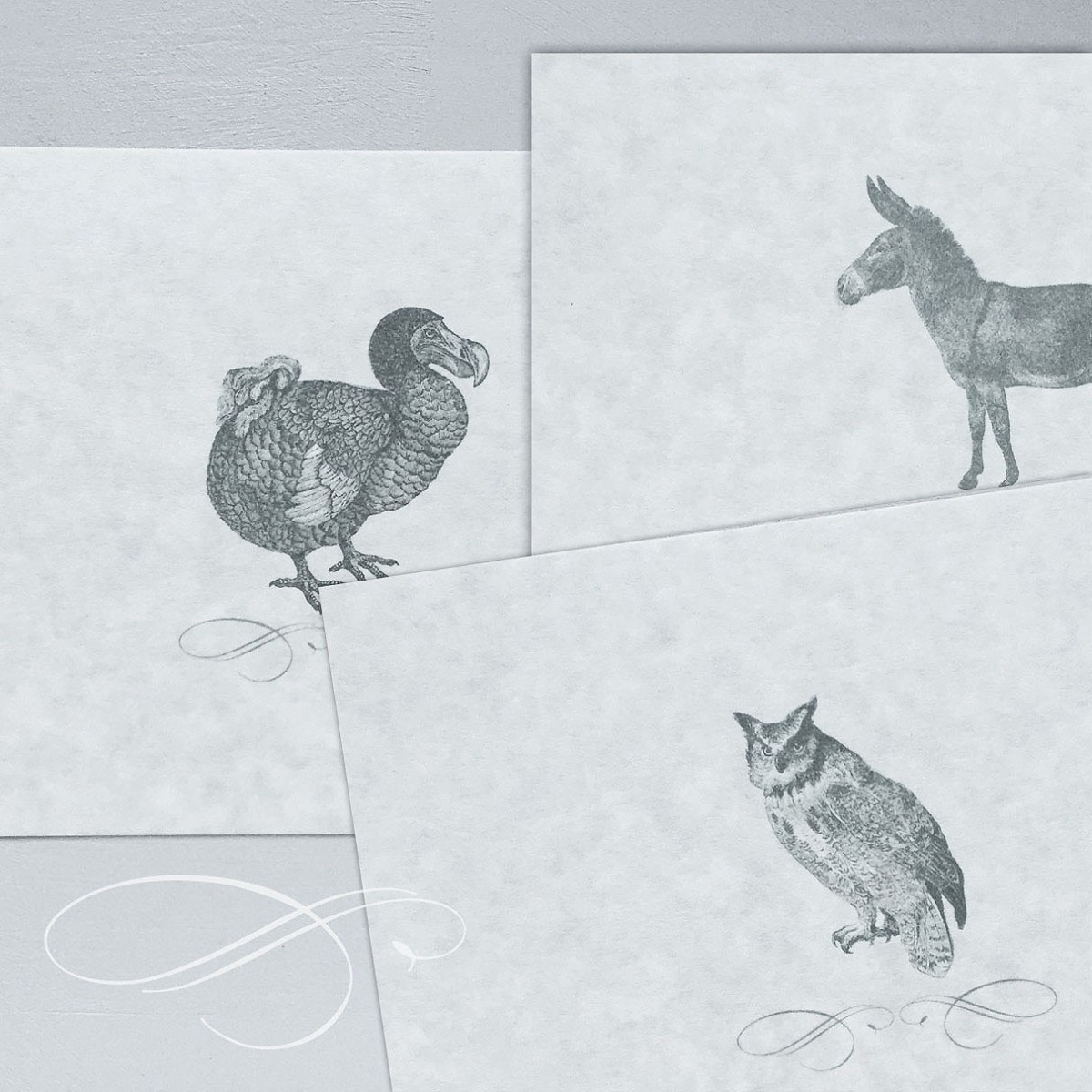 のどかな森の動物達 ポストカード セット Iichi ハンドメイド クラフト作品 手仕事品の通販