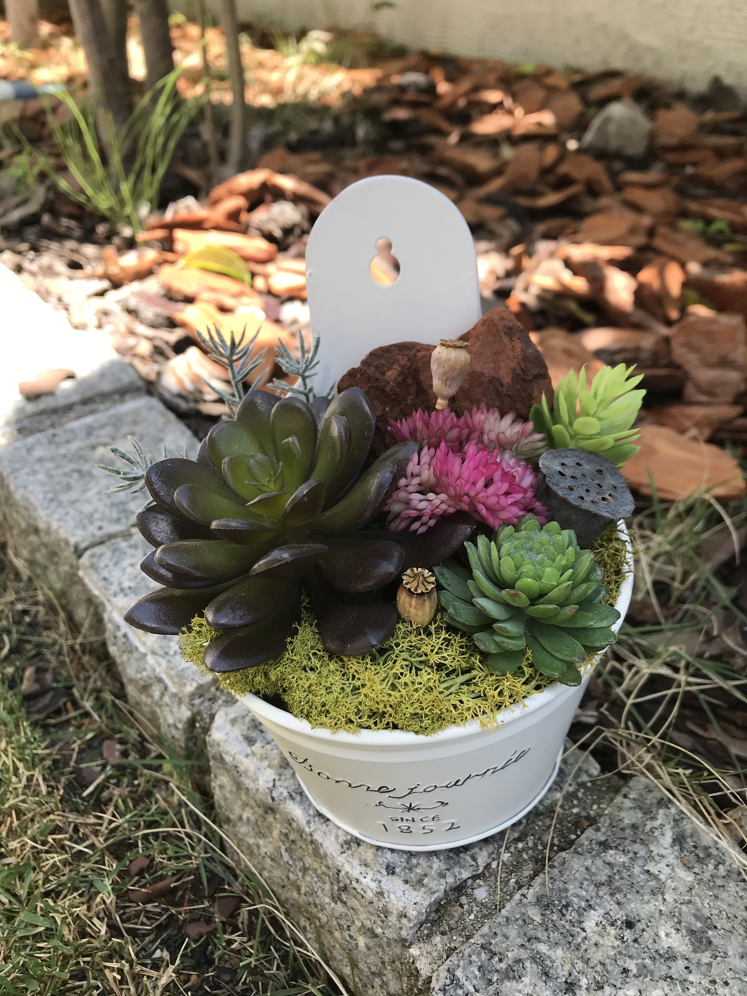 ブリキの多肉 アート アレンジc D Iichi ハンドメイド クラフト作品 手仕事品の通販