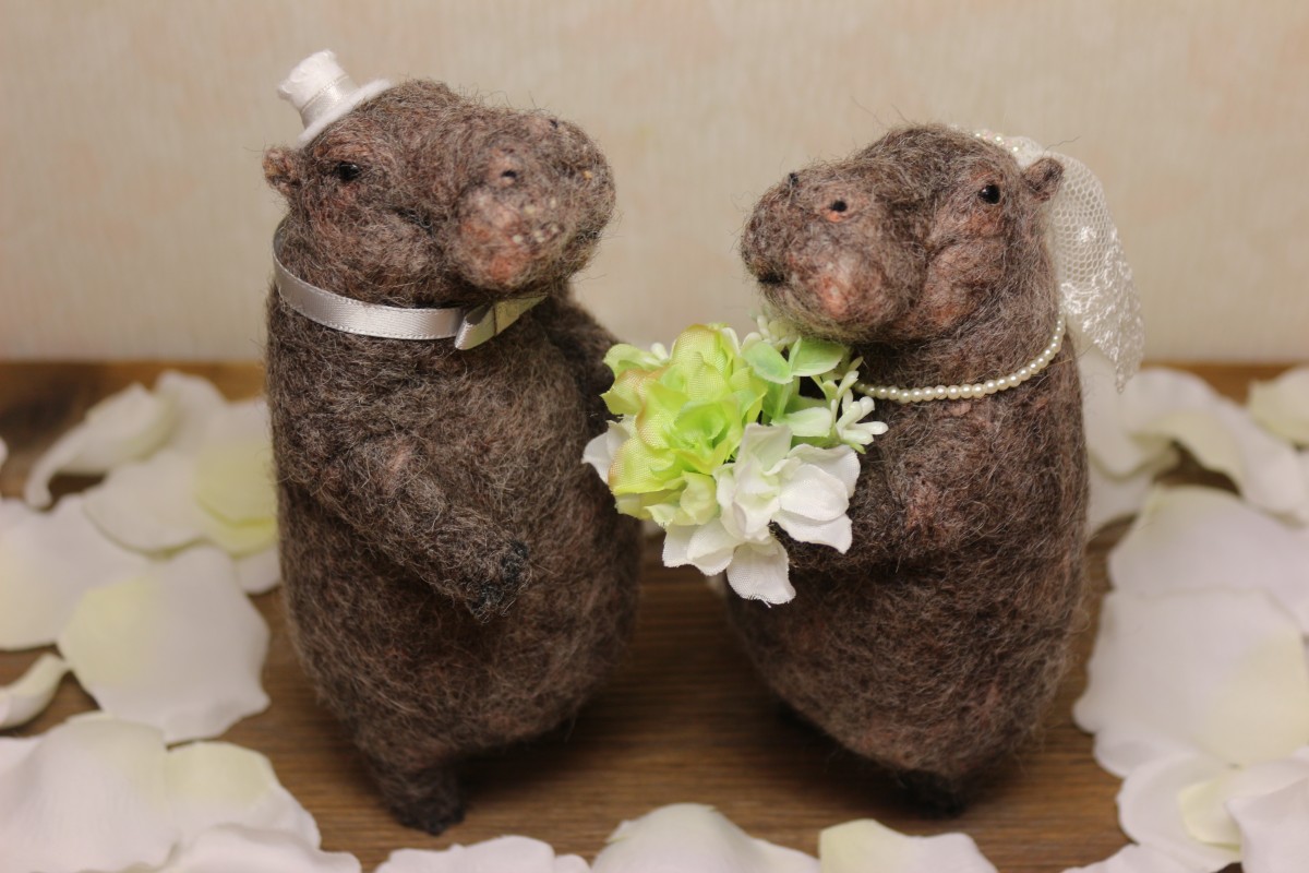 カバのウェルカムドール Nさまオーダー品 Iichi ハンドメイド クラフト作品 手仕事品の通販