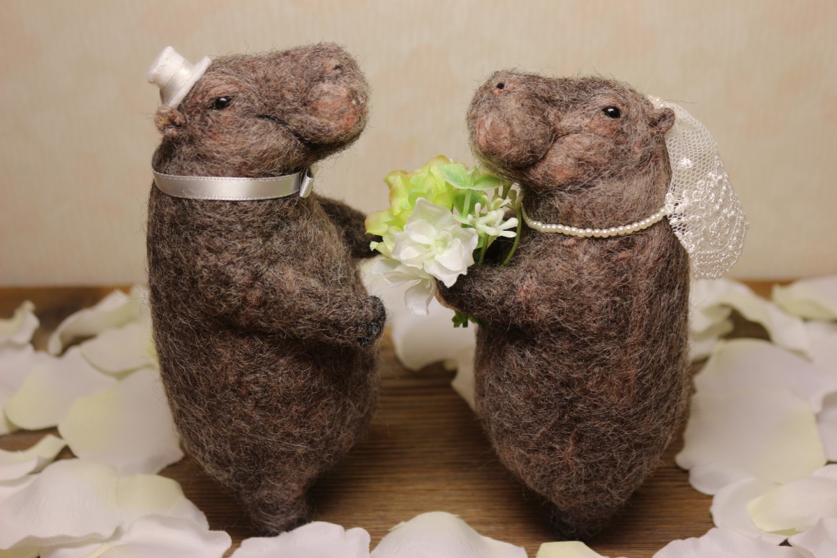 カバのウェルカムドール Nさまオーダー品 Iichi ハンドメイド クラフト作品 手仕事品の通販