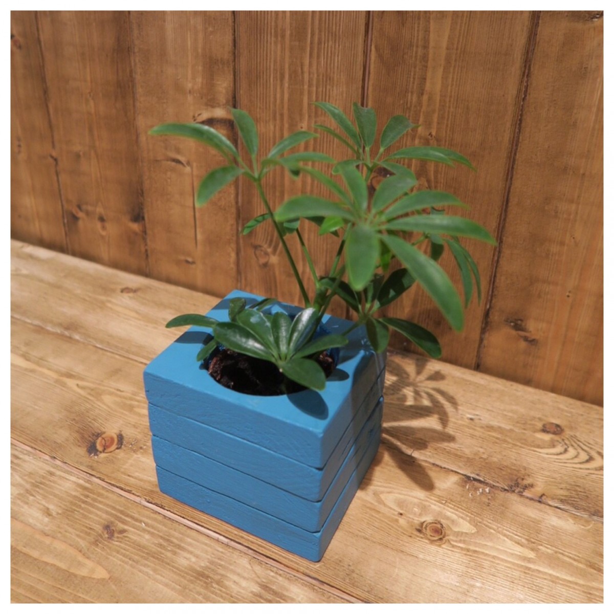 ケーバブー 植木鉢 鉢 観葉植物 インテリア 小物入れ 雑貨 Iichi ハンドメイド クラフト作品 手仕事品の通販