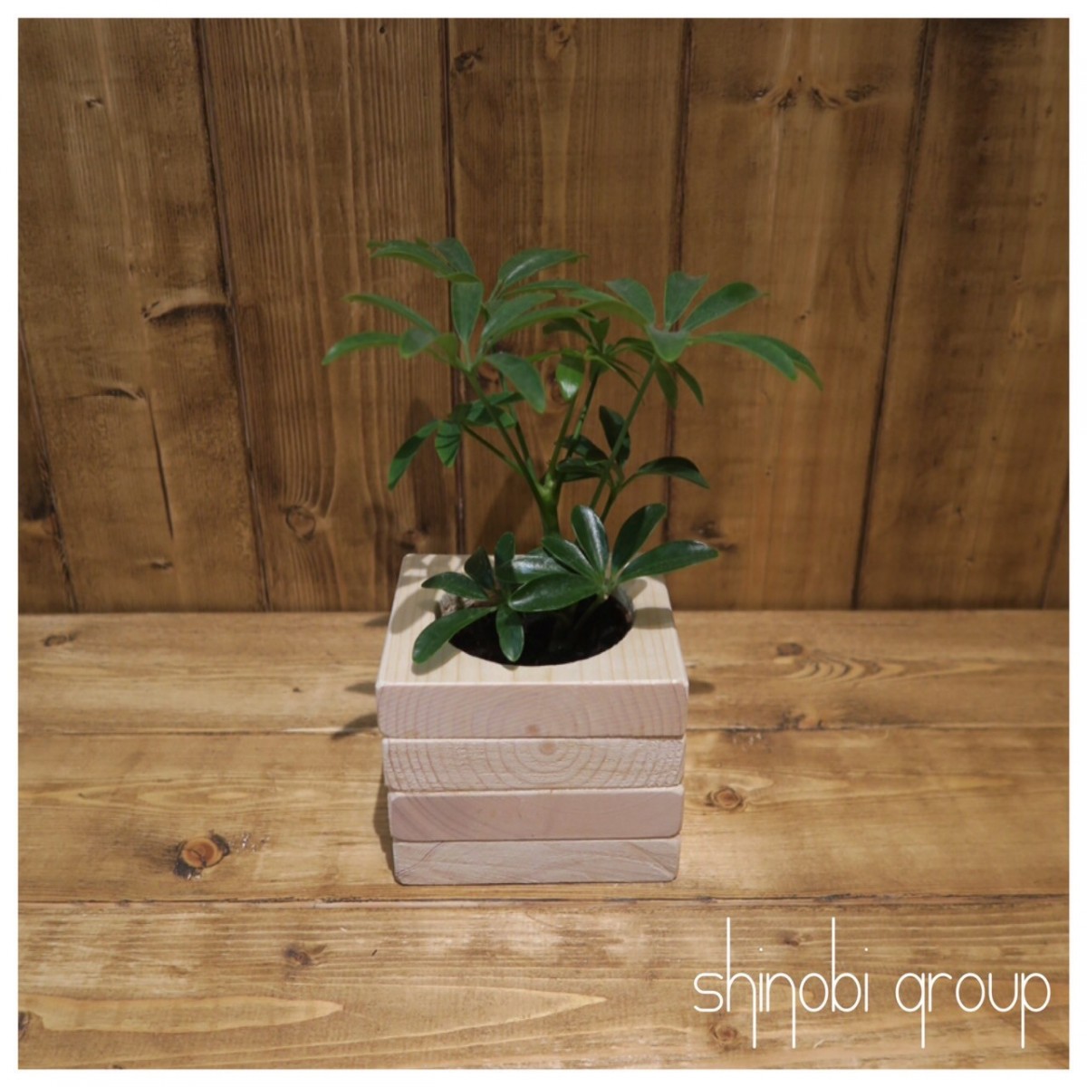 ケーバブー 植木鉢 鉢 観葉植物 インテリア 小物入れ 雑貨 Iichi ハンドメイド クラフト作品 手仕事品の通販 ケーバブー 植木鉢 鉢 観葉植物 インテリア 小物入れ 雑貨 Iichi ハンドメイド クラフト作品 手仕事品の通販
