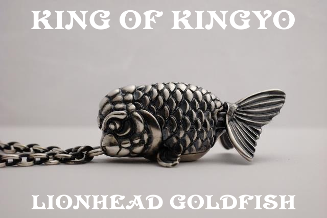 King Of Kingyo Ranchu 金魚の王様 らんちゅう ペンダント Vita Iichi ハンドメイド クラフト作品 手仕事品の通販