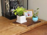 特上品　天然木　金色に輝く桑の木の花器台　盆栽台　木工品　工芸品　花台　置物台 特上品 天然木 金色に輝く桑の木の花器台 盆栽台 木工